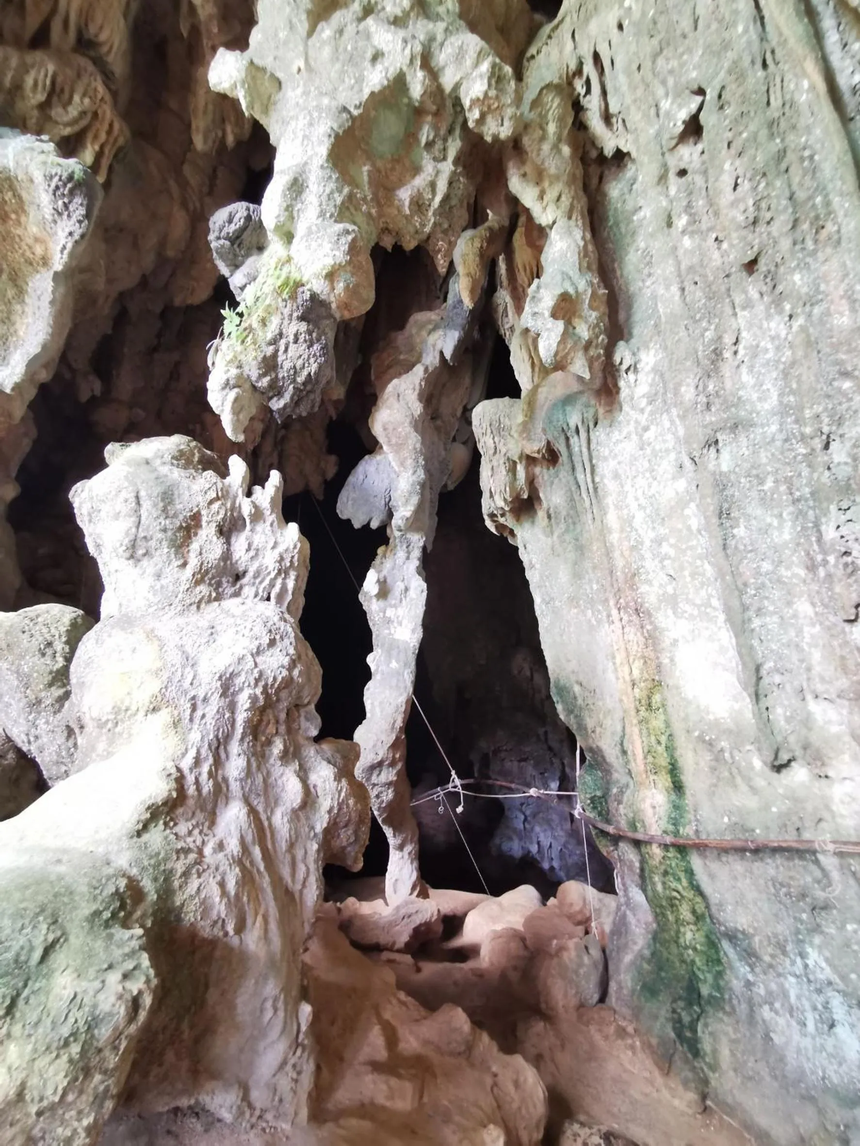 Nearby landmark in Khao Sok Country Resort