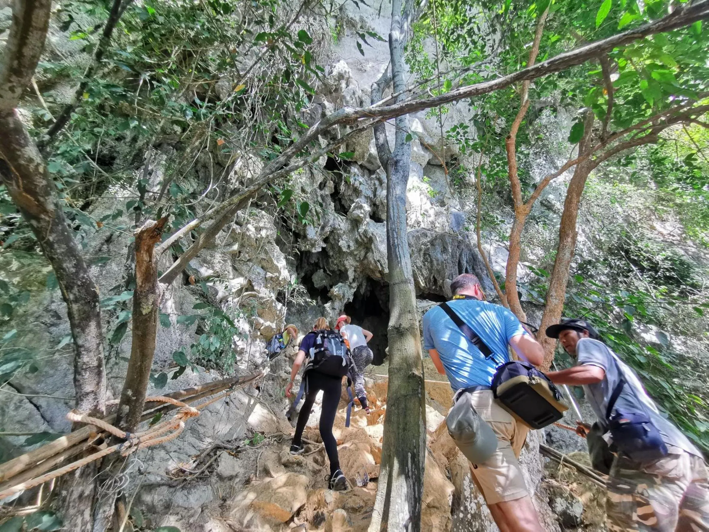 Natural landscape in Khao Sok Country Resort