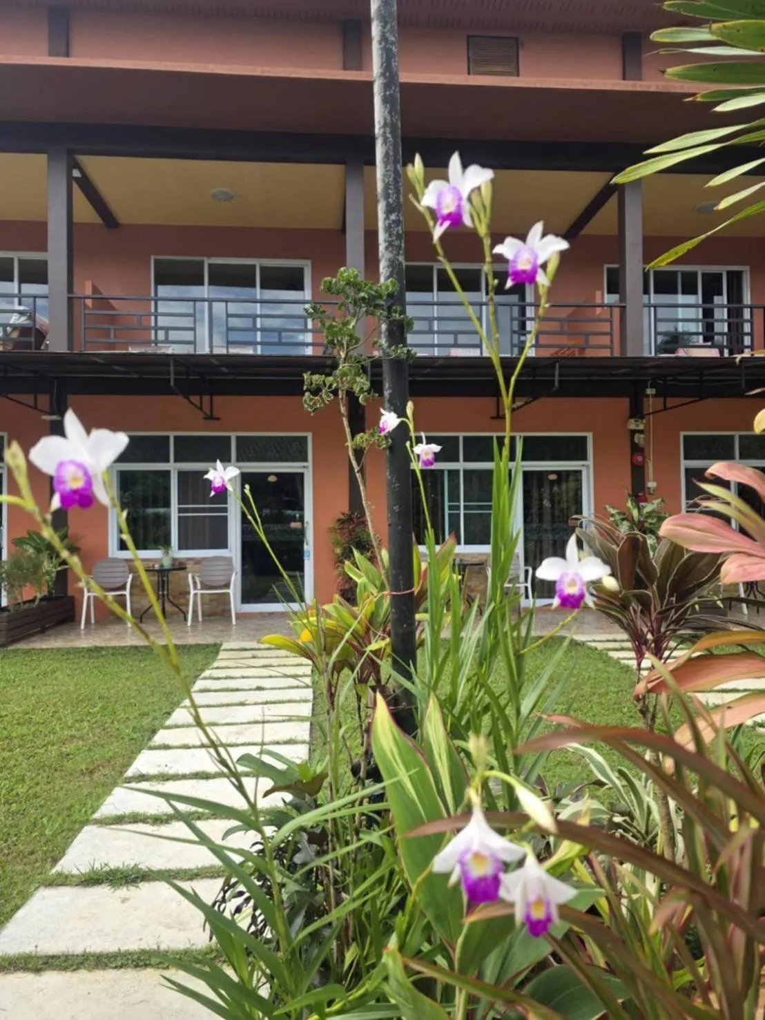 Property building in Khao Sok Country Resort