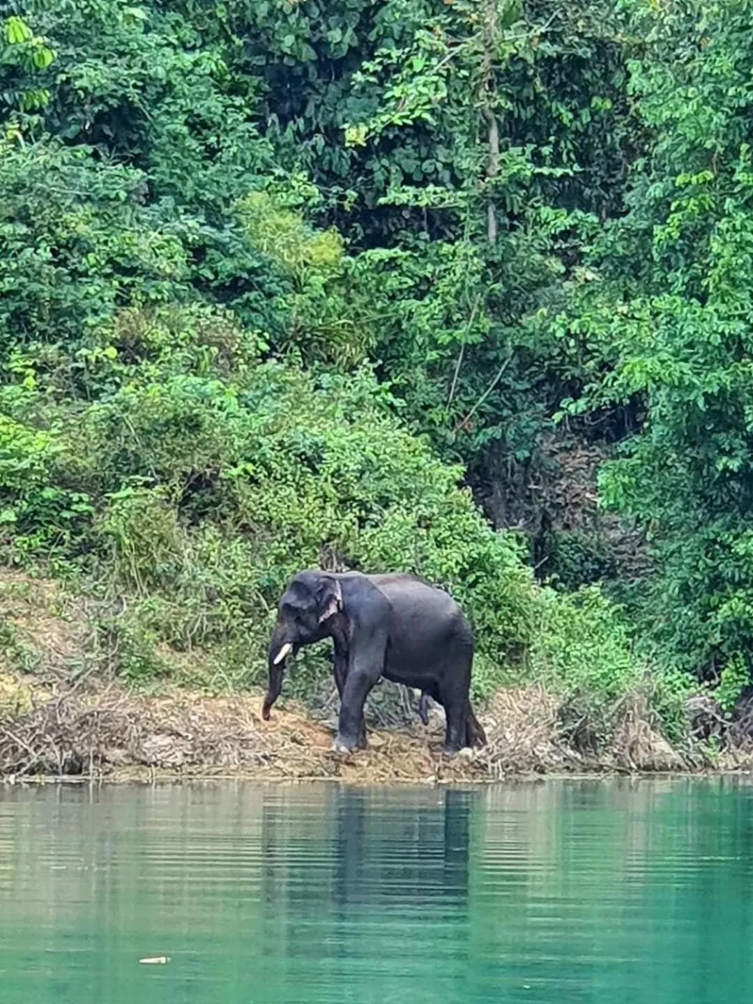 Activities in Khao Sok Country Resort