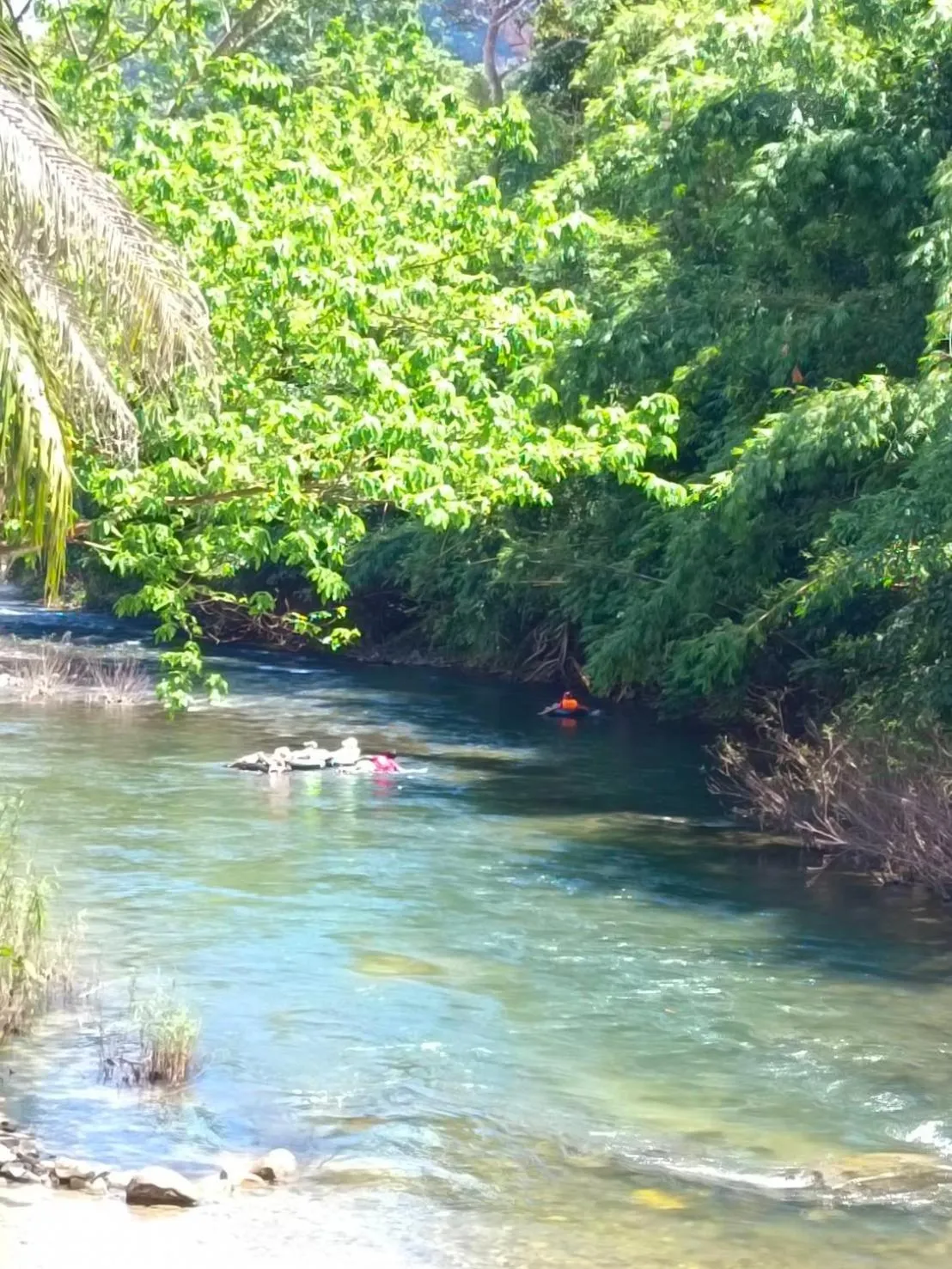 Activities in Khao Sok Country Resort