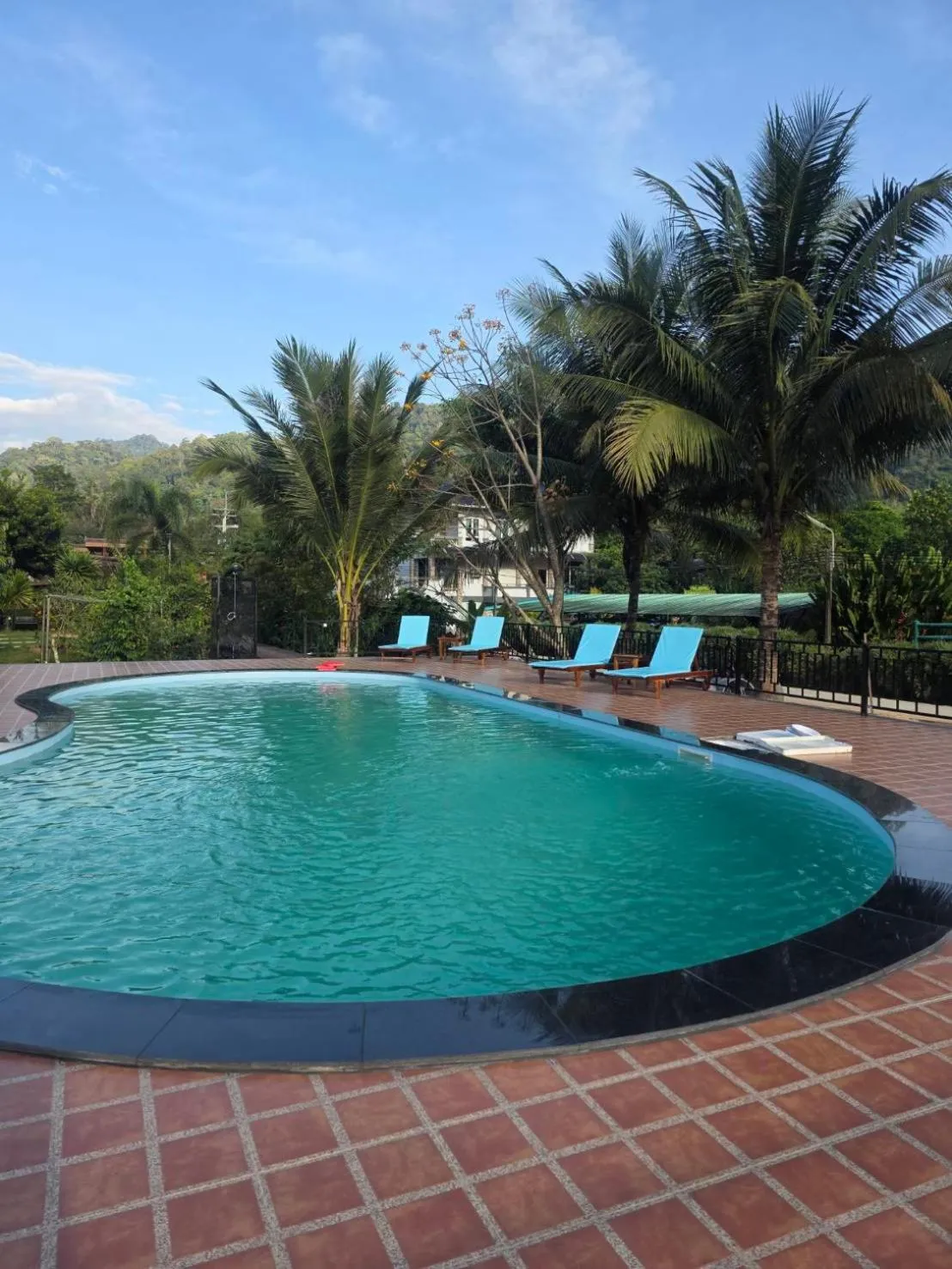 Swimming pool in Khao Sok Country Resort