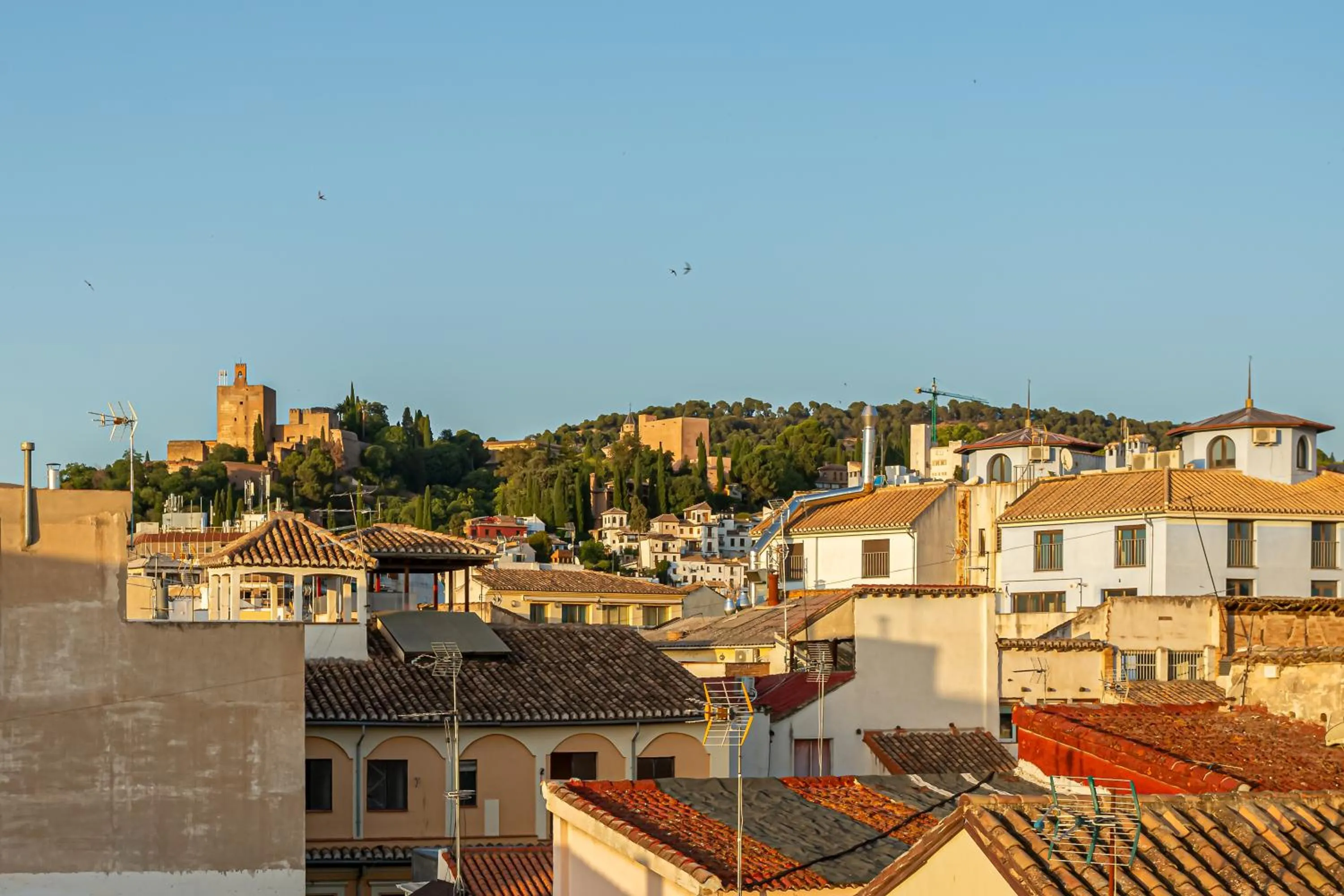 View (from property/room) in Room Mate Leo, Granada