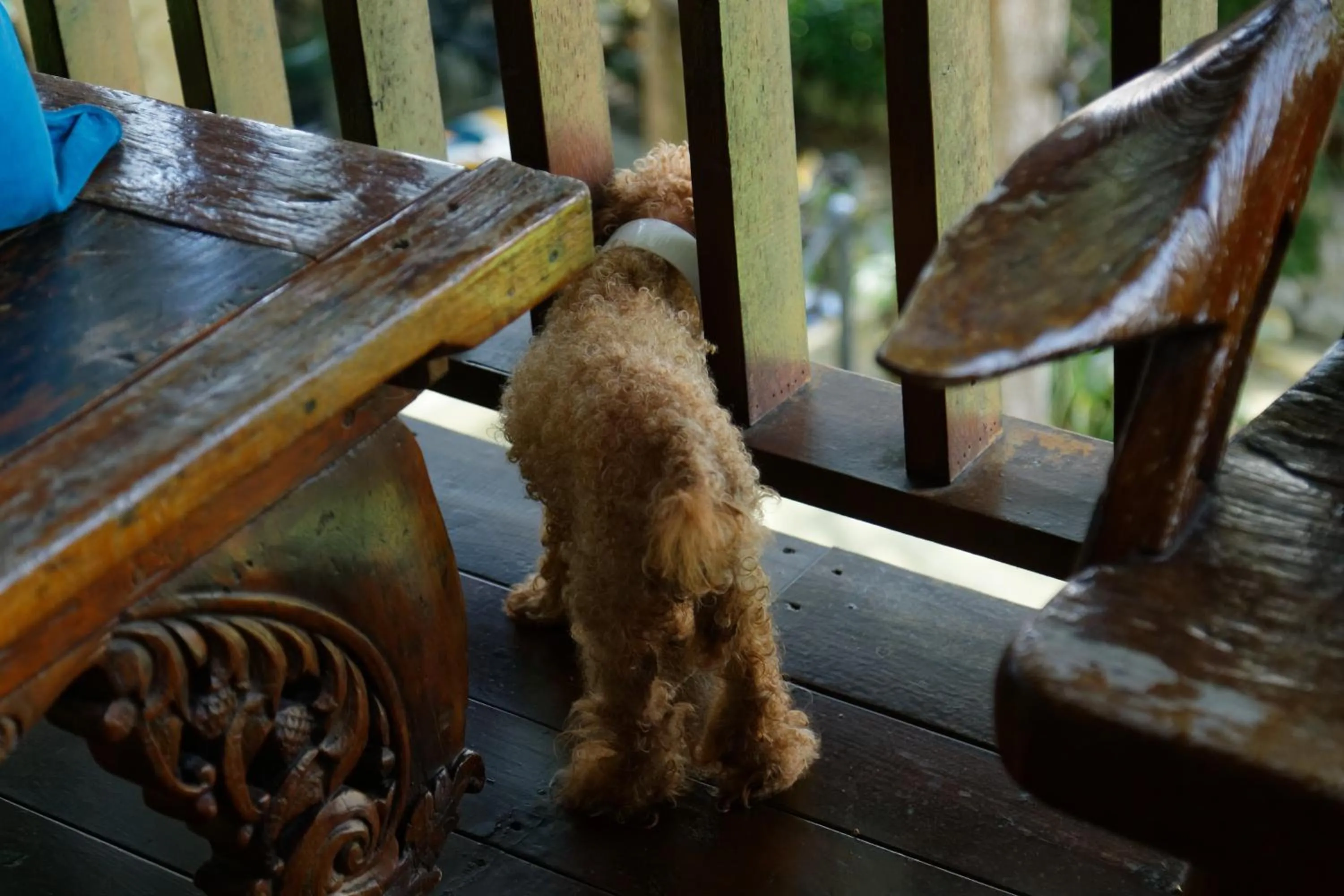 Sun Moon Lake Full House Resort