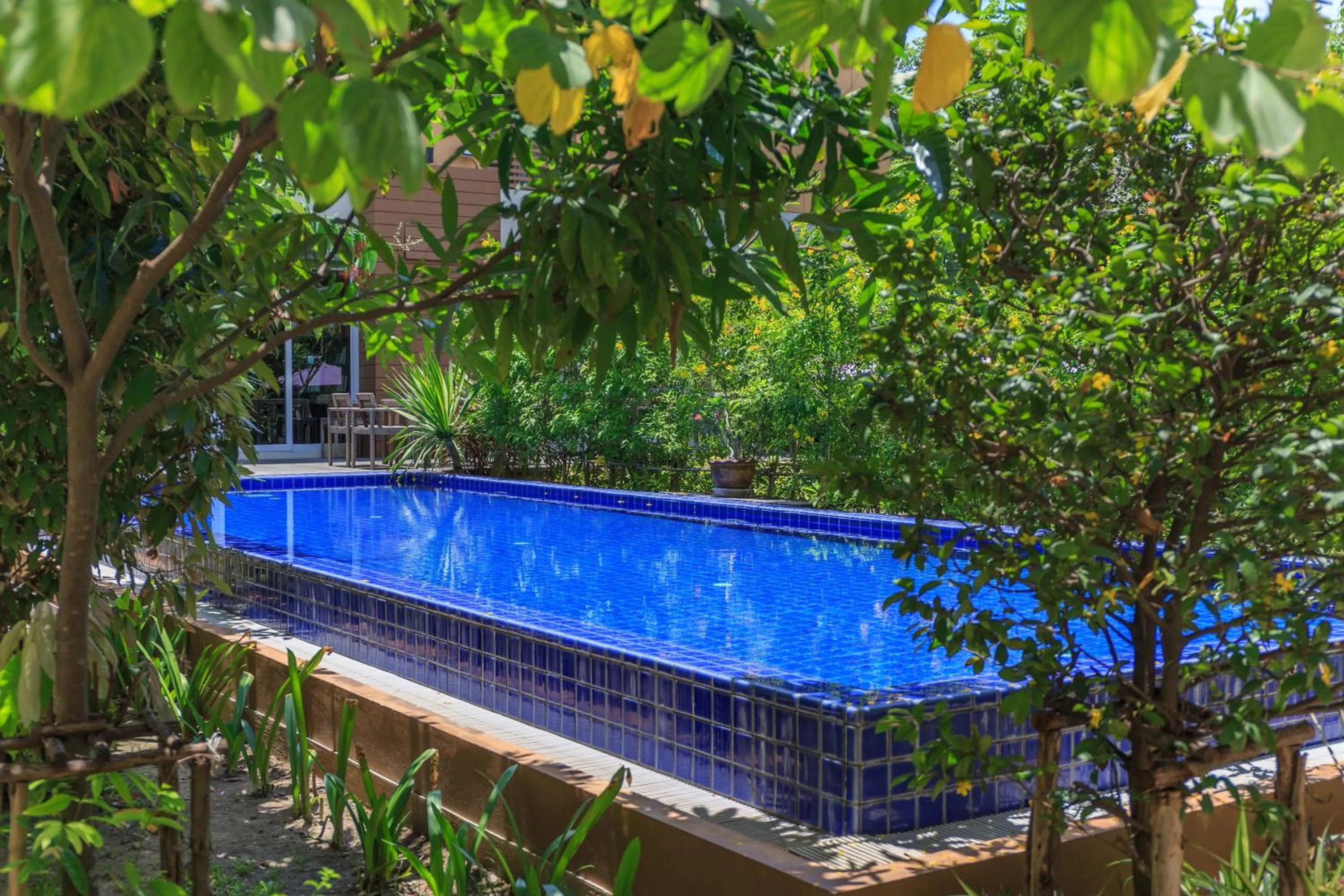 Pool view in U Tiny Boutique Hotel Suvarnabhumi Bangkok - SHA Plus
