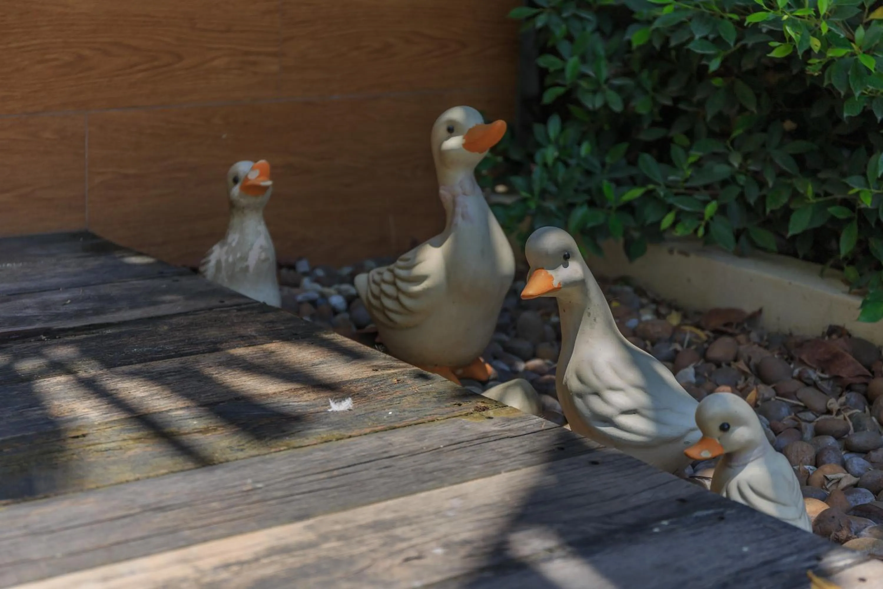 Garden in U Tiny Boutique Hotel Suvarnabhumi Bangkok - SHA Plus