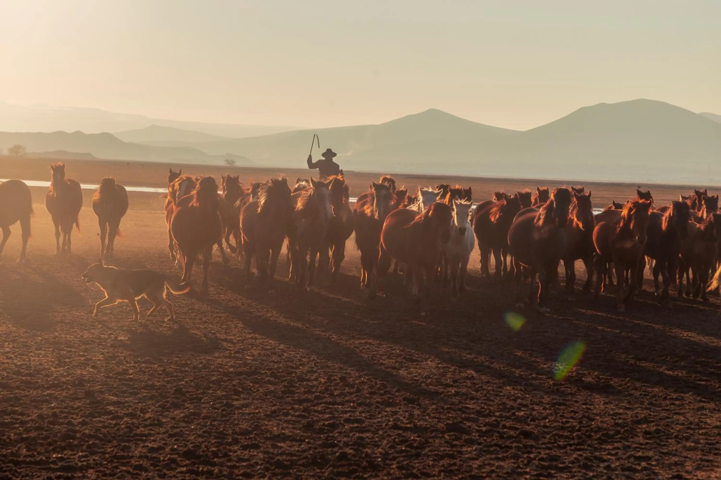 People in Very Peri Cappadocia - The Lifestyle Luxury Design Hotel