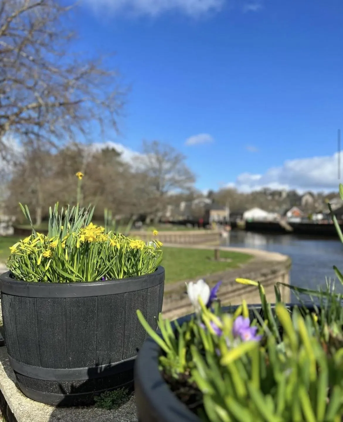 Other in The Steam Packet Inn