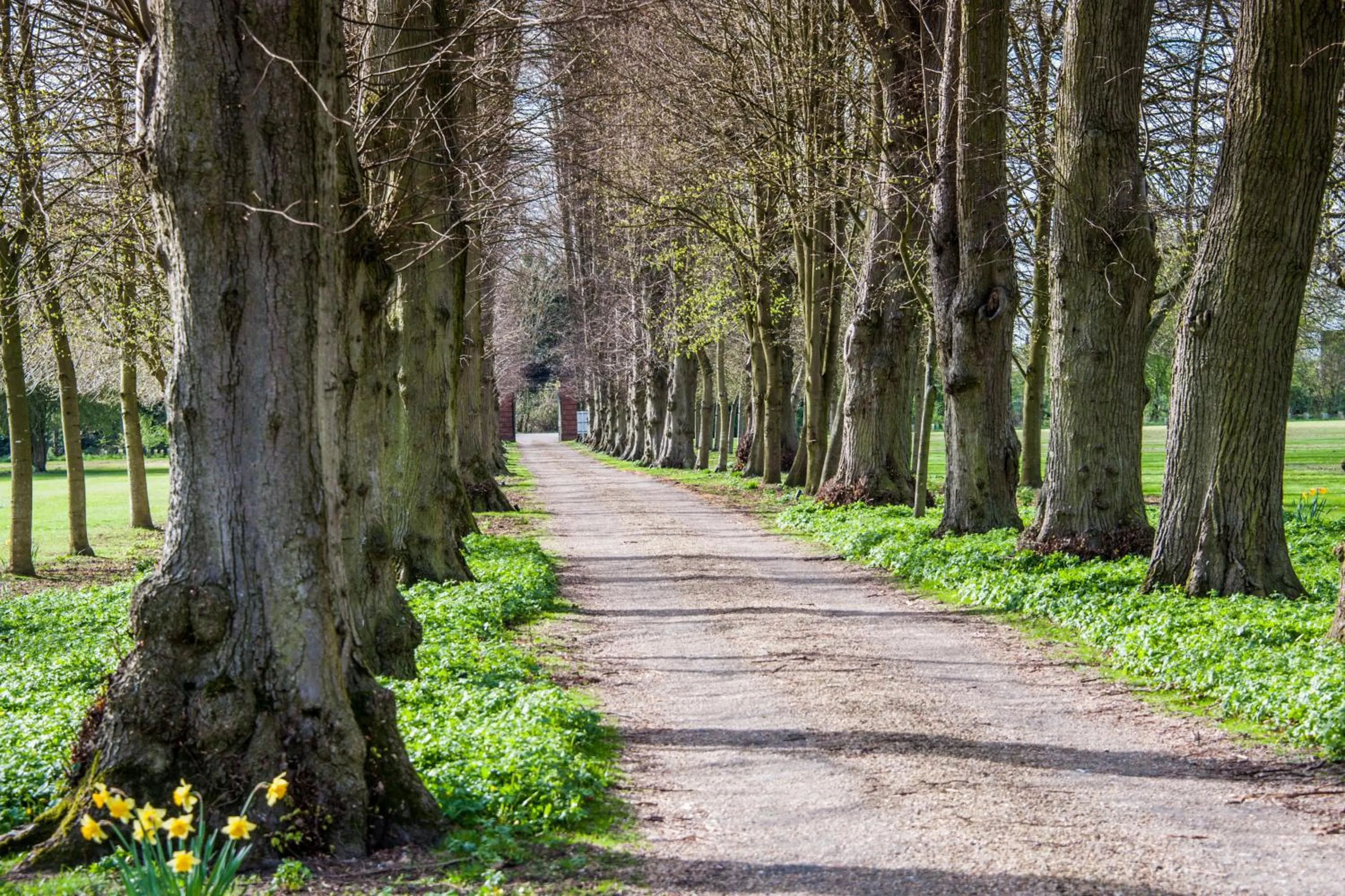 Property building in The Oaksmere