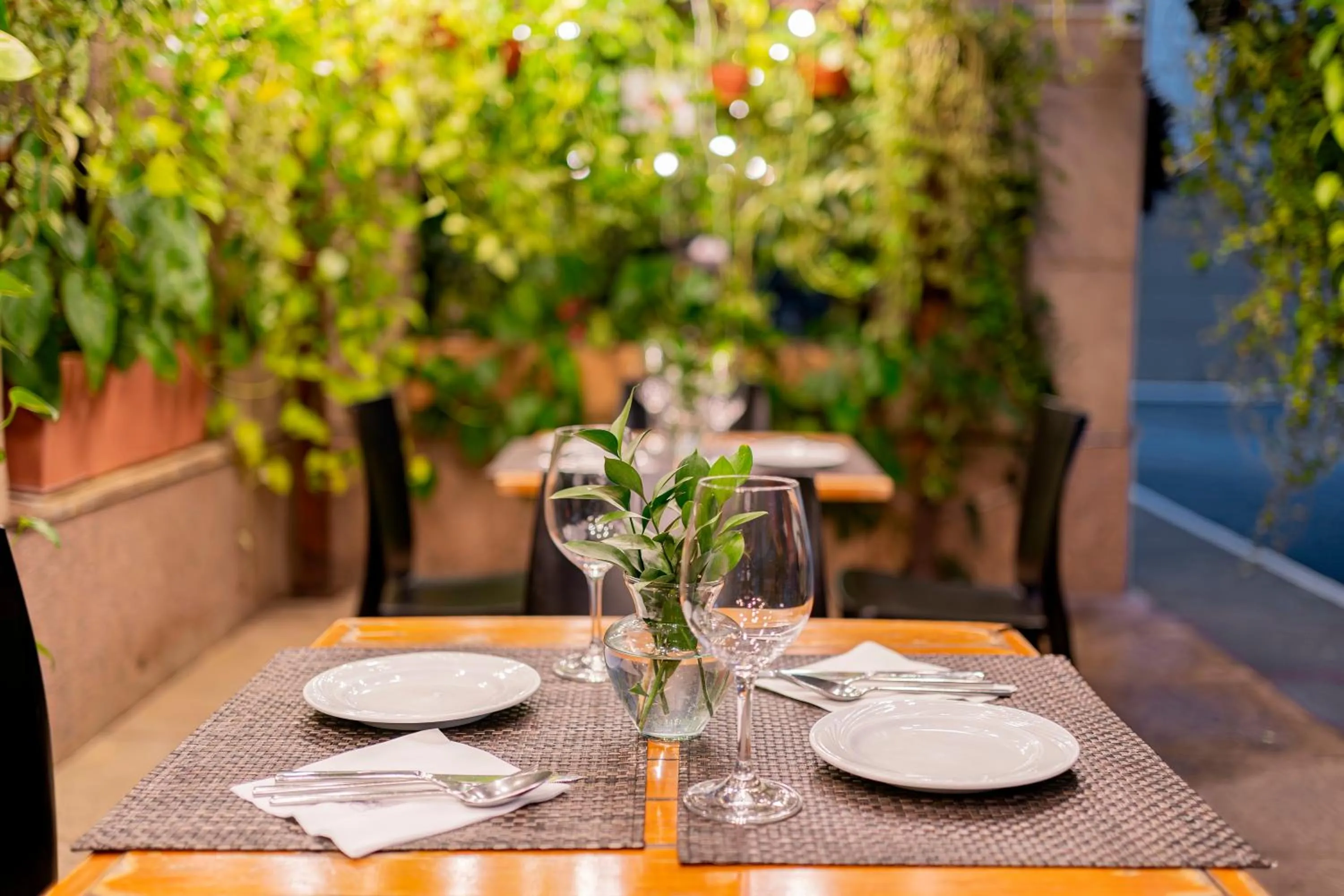 Patio in Mercure Sao Paulo Moema Times Square