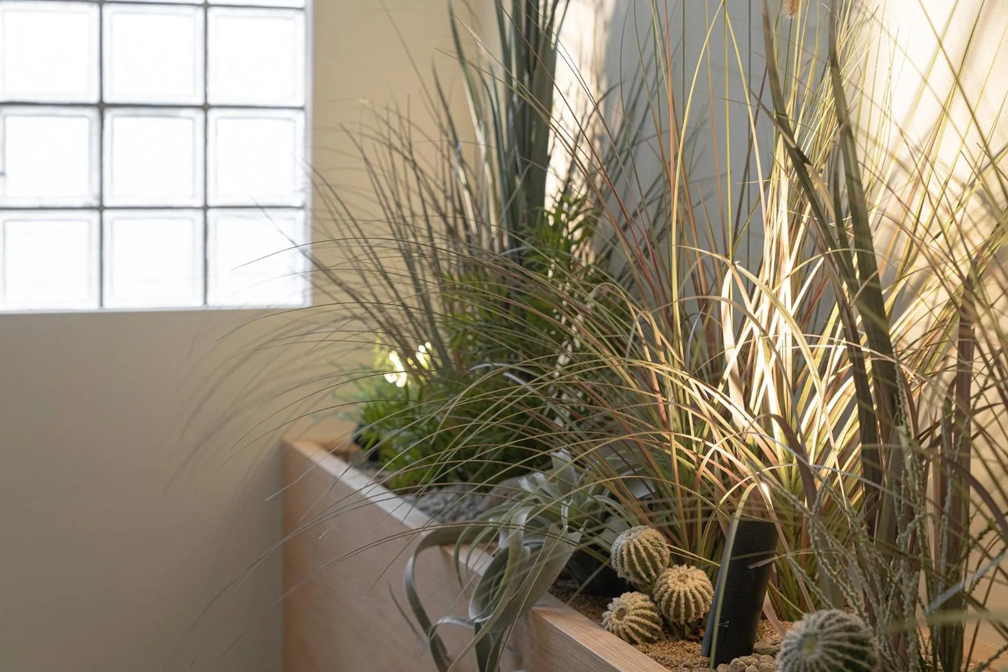 Garden in Siheung Brown Dot Jeongwang