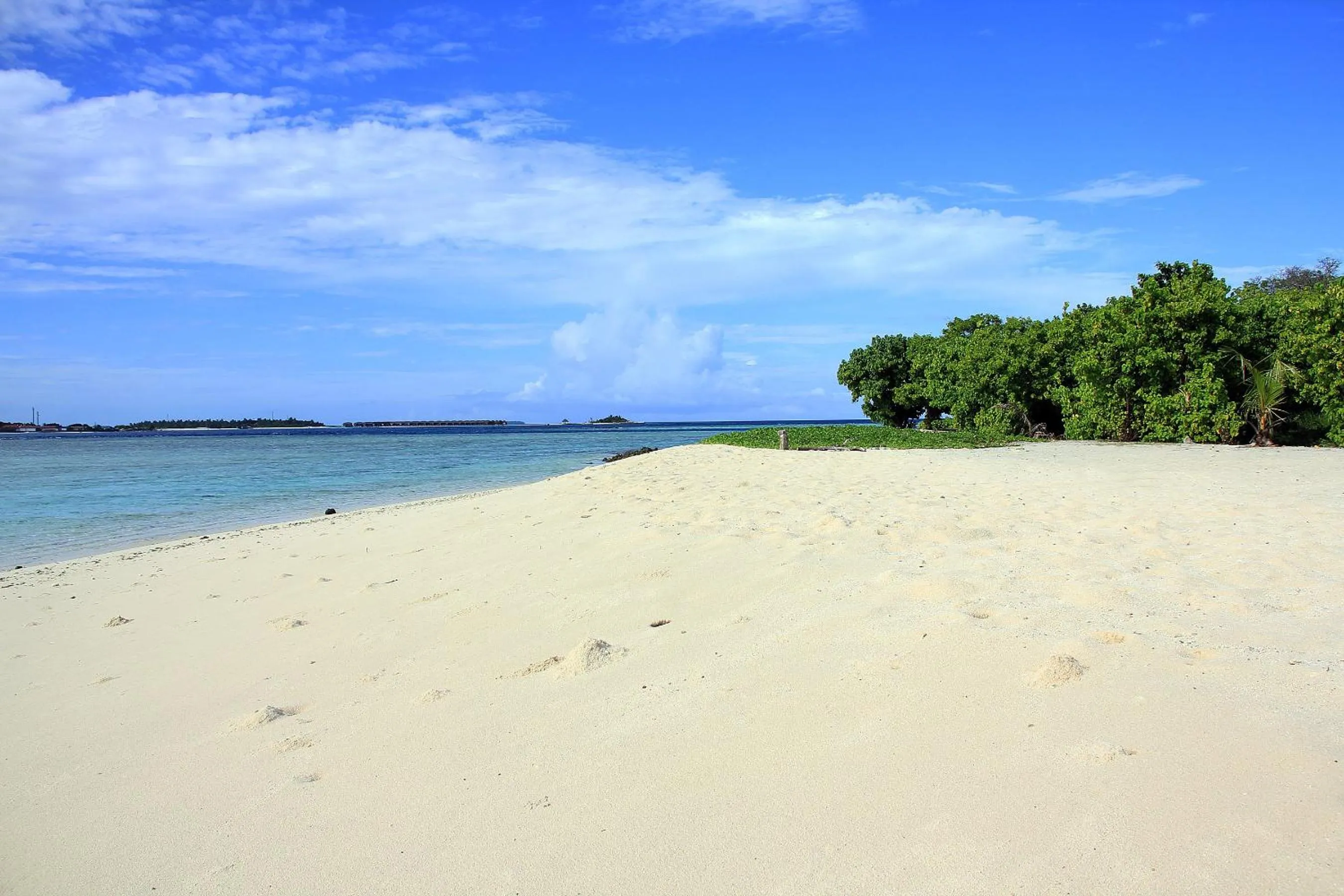 Beach in Tropic Tree Maldives