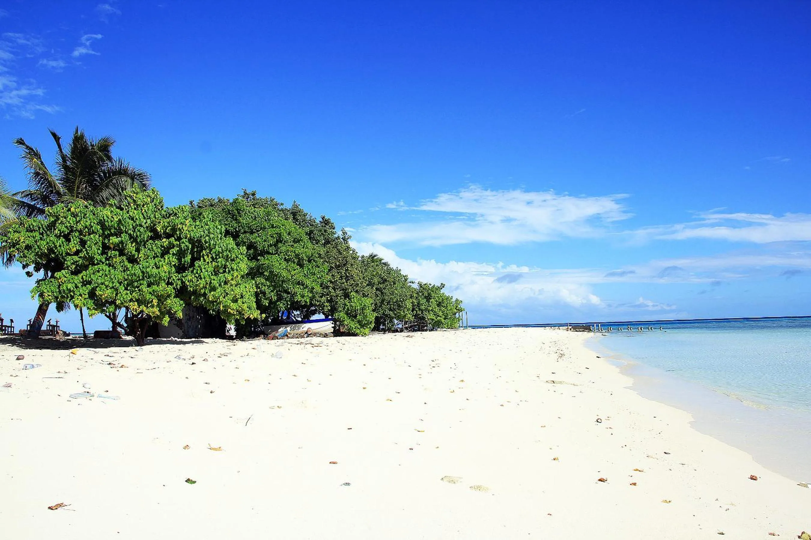 Area and facilities in Tropic Tree Maldives