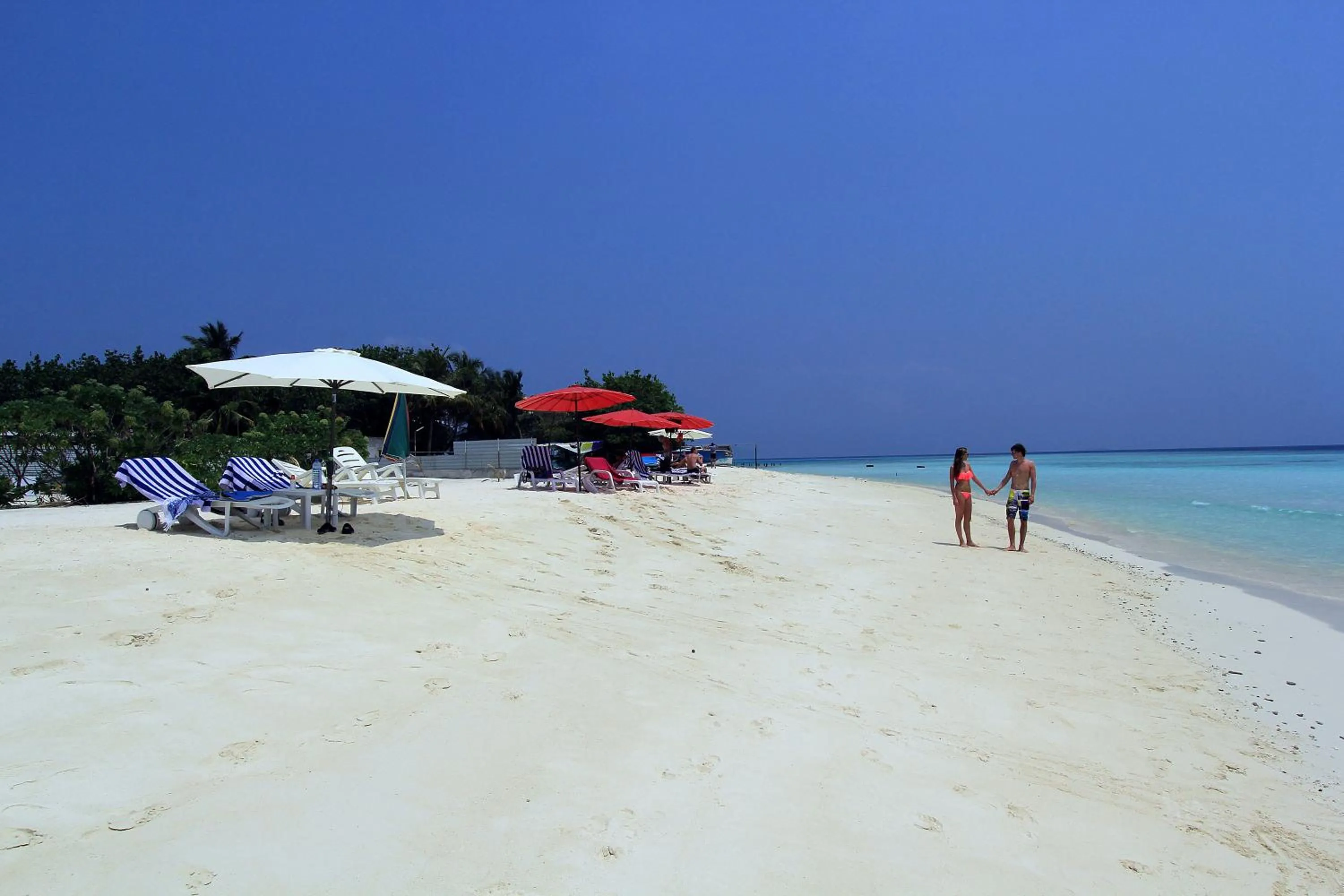 Beach in Tropic Tree Maldives