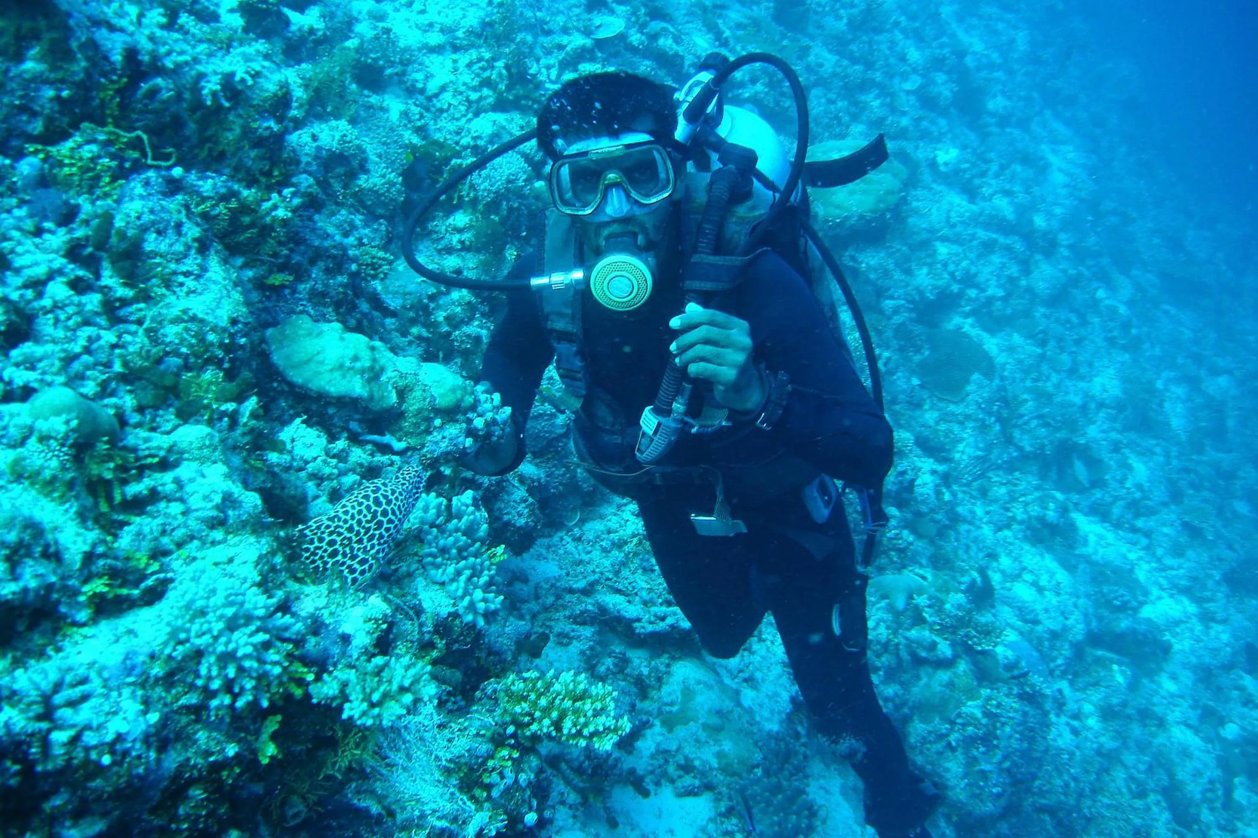 Snorkeling in Tropic Tree Maldives