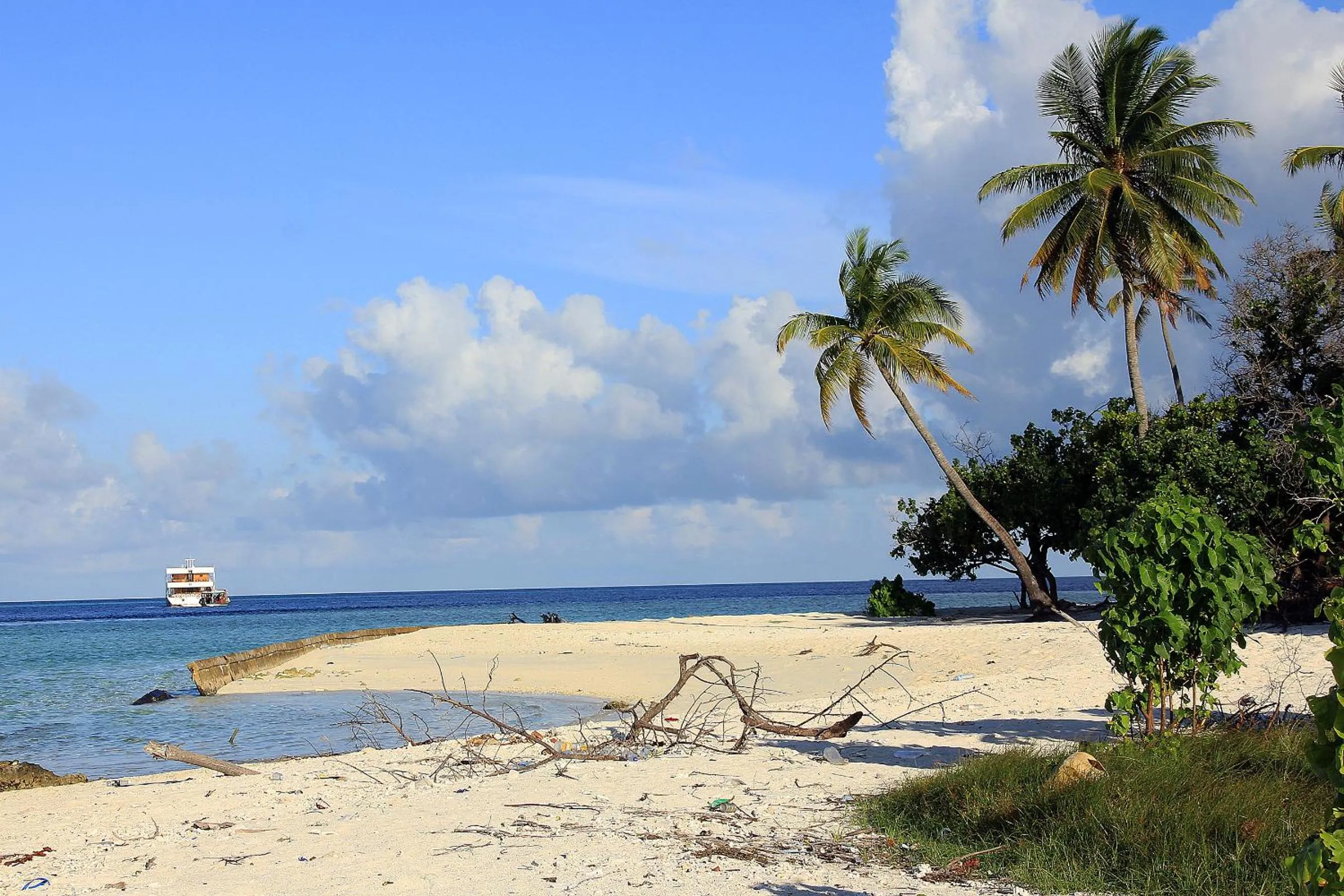 Natural landscape in Tropic Tree Maldives