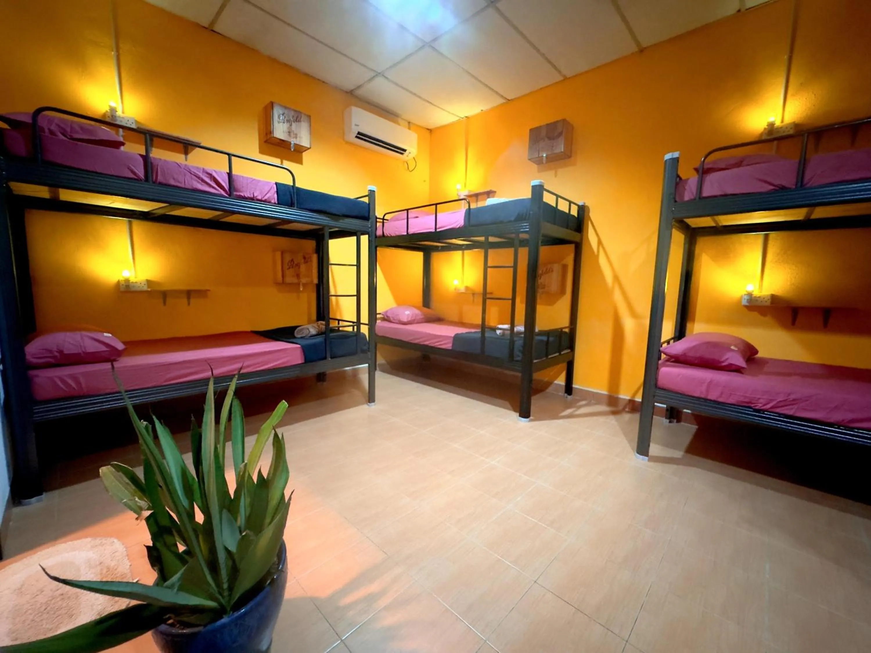 Bed in Home Sol Guesthouse