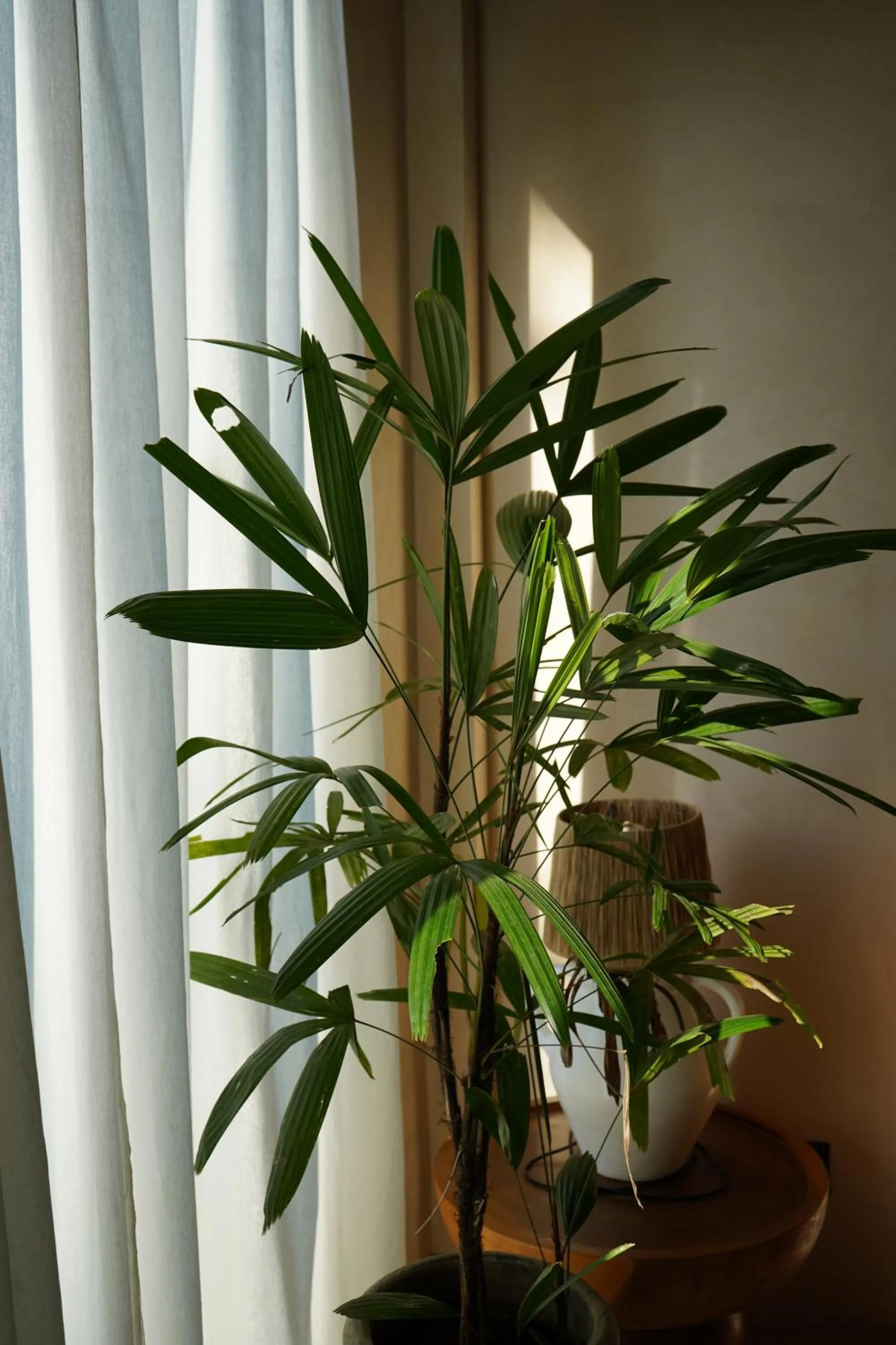 Banquet/Function facilities in Glamp Nusa