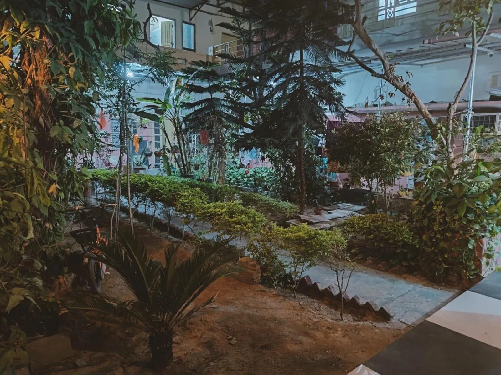 Day in Homestay Urmil Basant