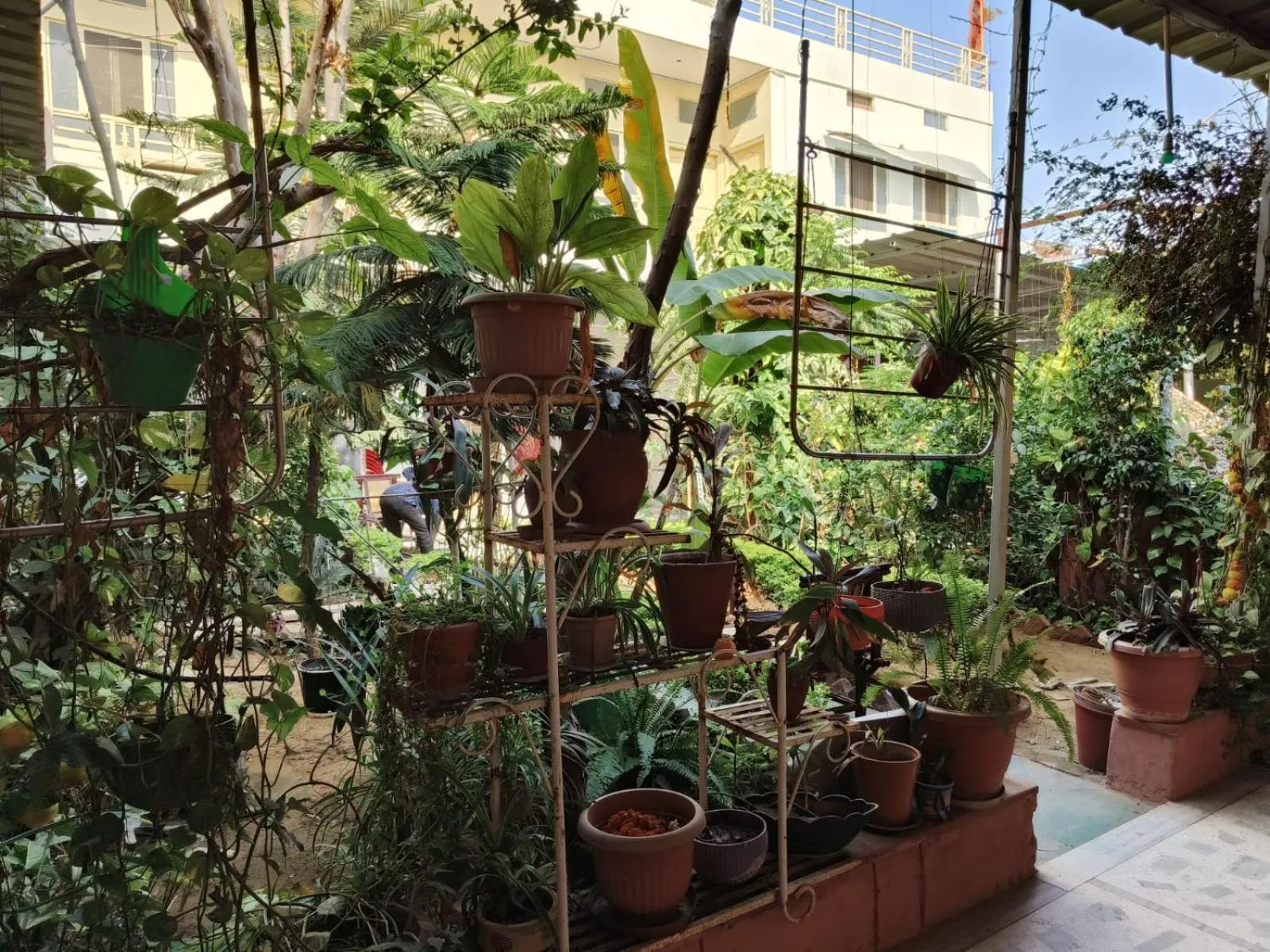 Day in Homestay Urmil Basant