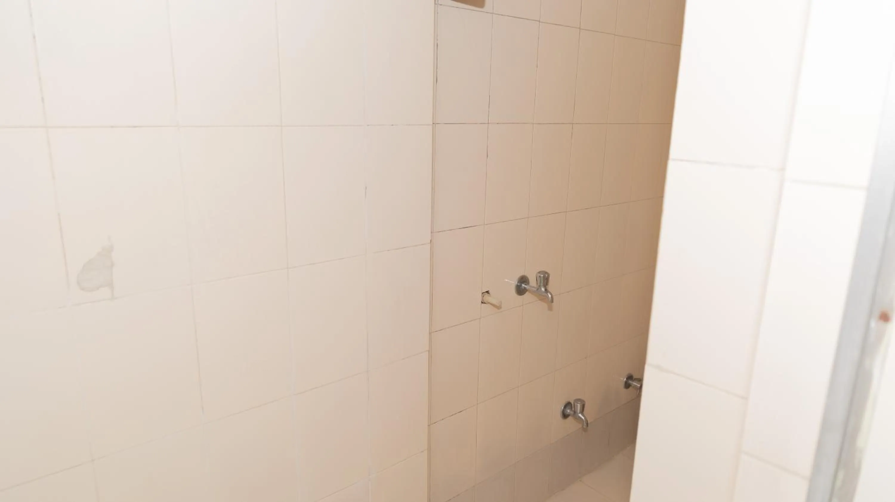 Shower in Homestay Urmil Basant