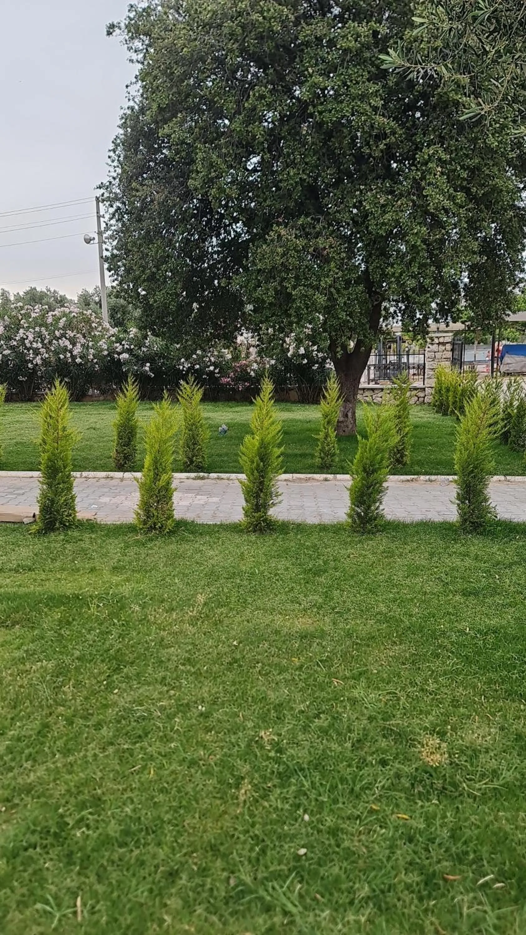 Garden in White Bay Resort