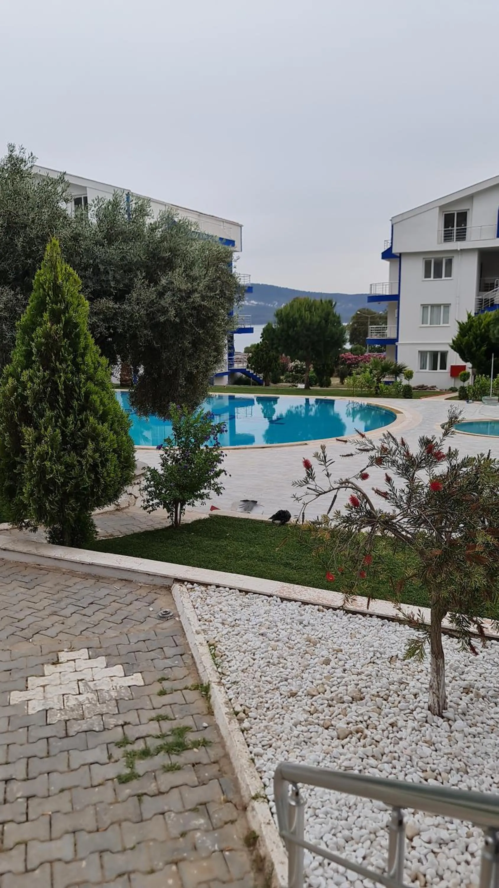 Swimming pool in White Bay Resort