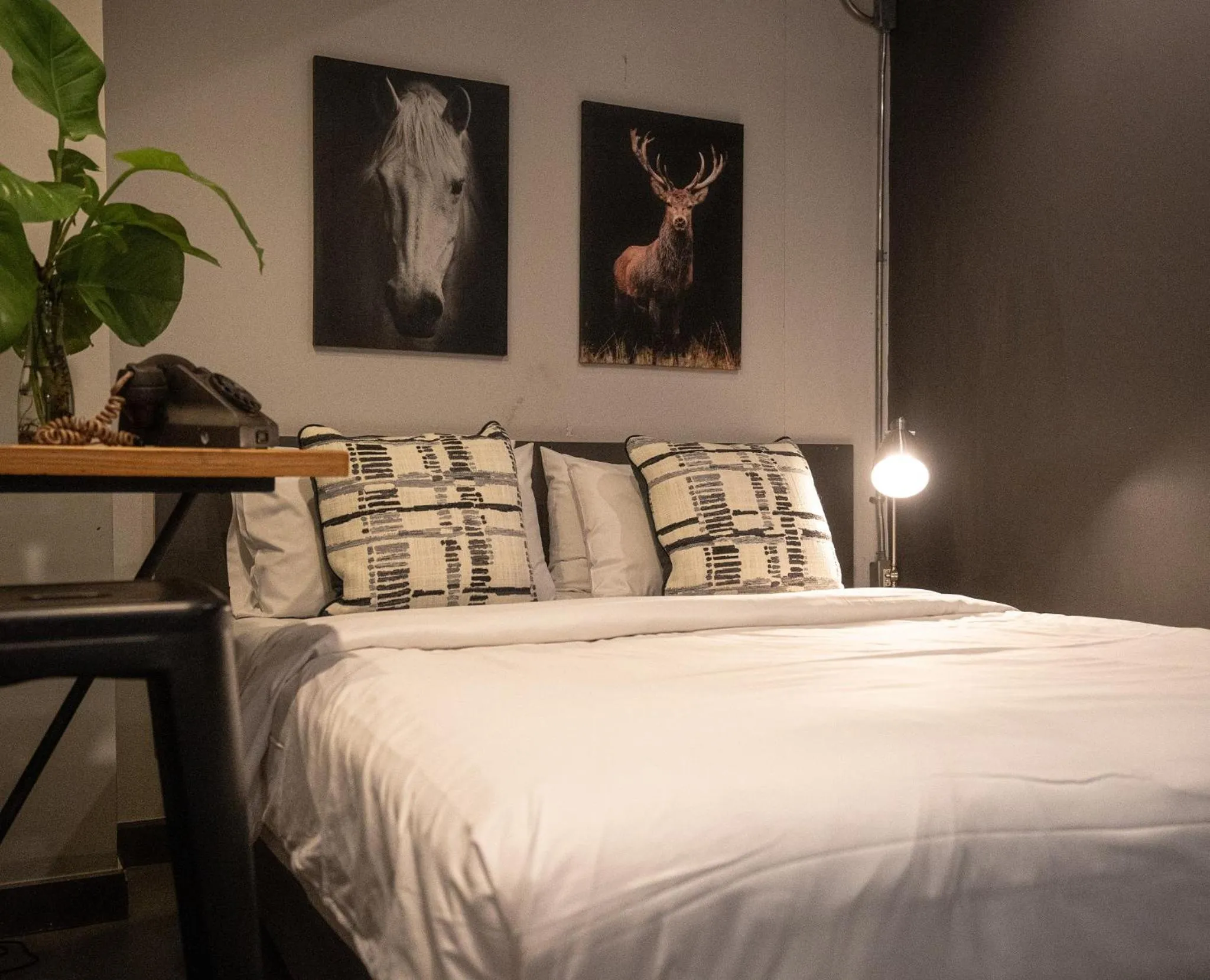 Photo of the whole room, Bed in Pyur Otel by Ombra House