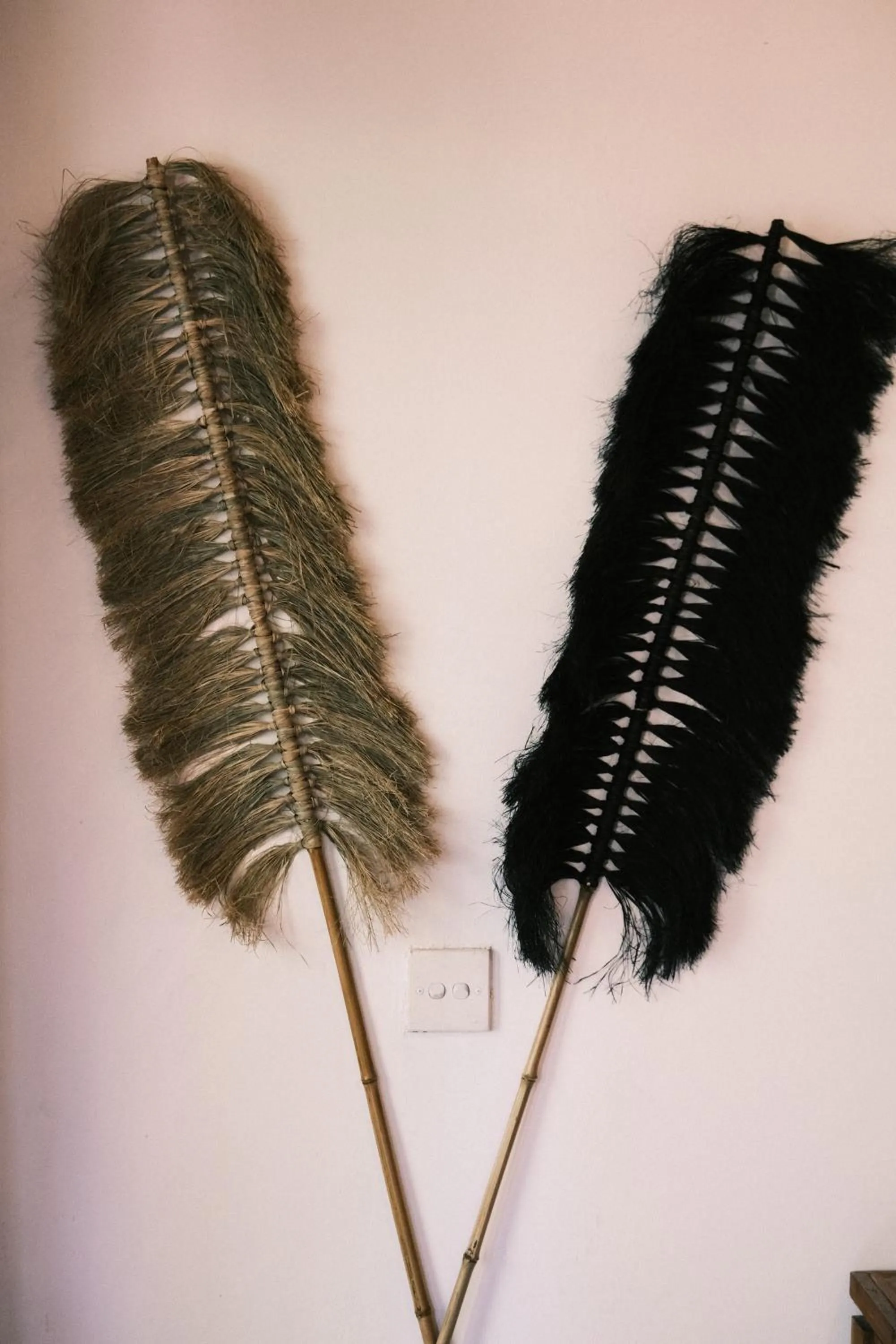 Property building in Olo Surf Nature