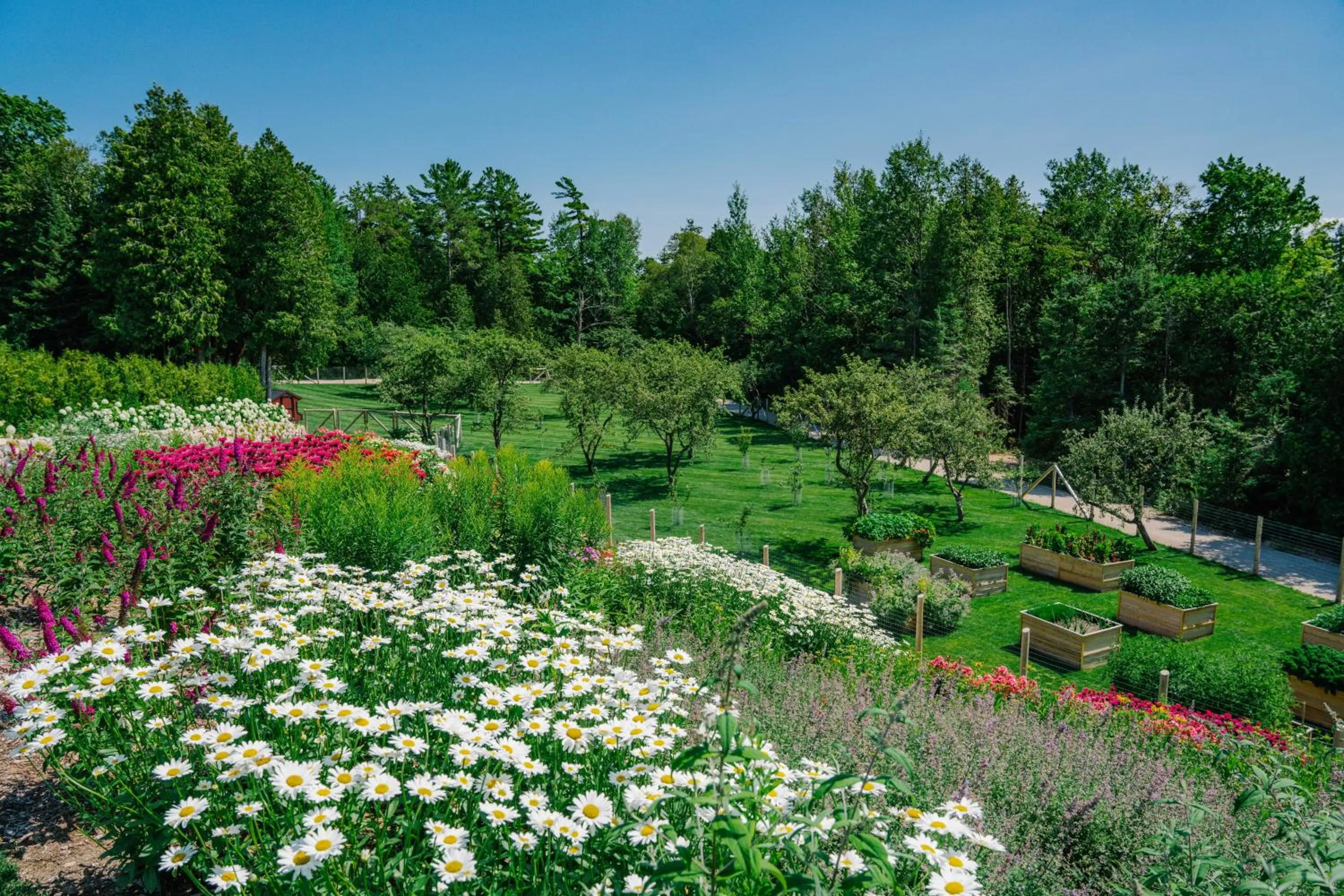 Garden in The Inn at Stonecliffe