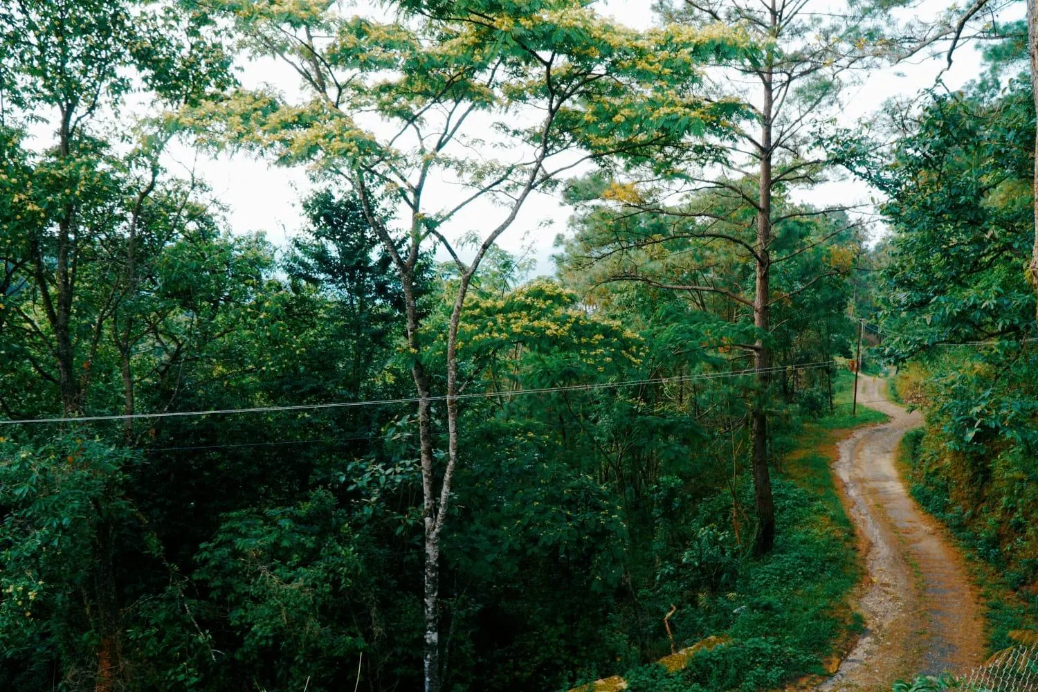 View (from property/room) in ROYALTY GLOBAL HOMESTAY