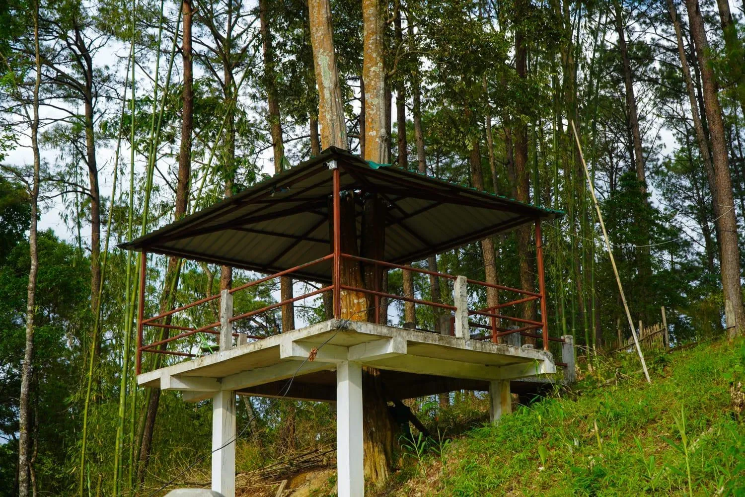 Garden in ROYALTY GLOBAL HOMESTAY