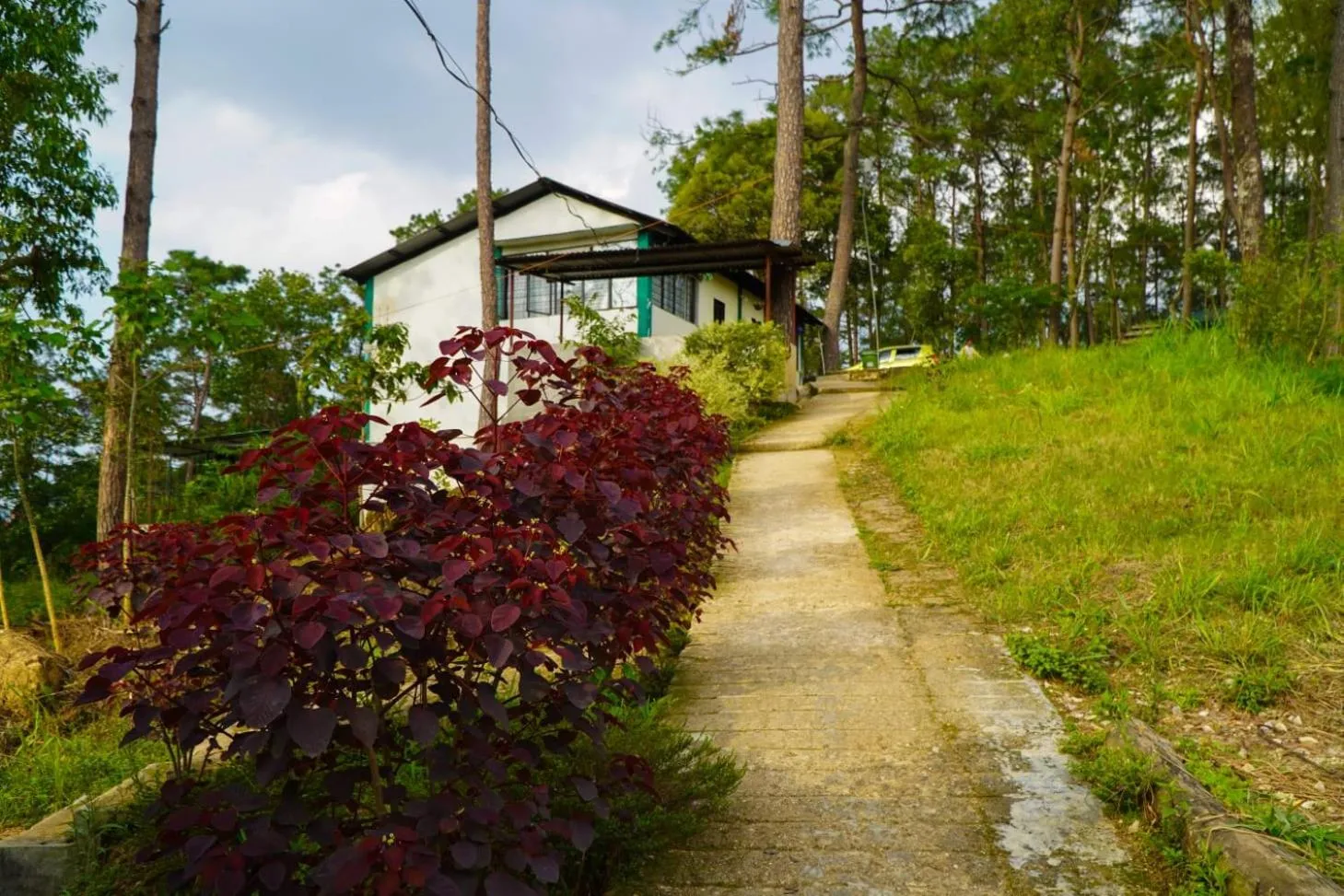 Garden view in ROYALTY GLOBAL HOMESTAY