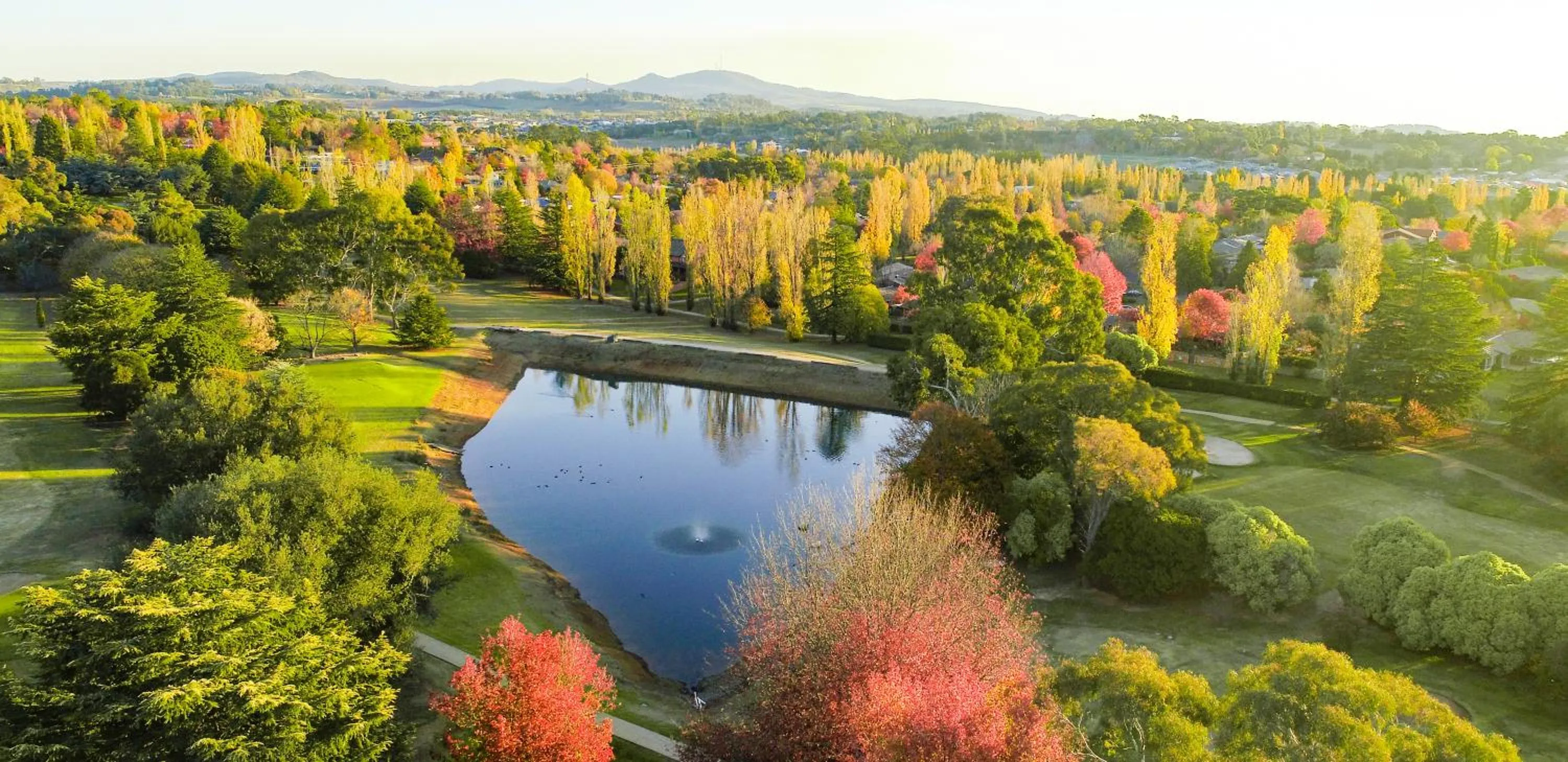 Bird's eye view in Duntryleague