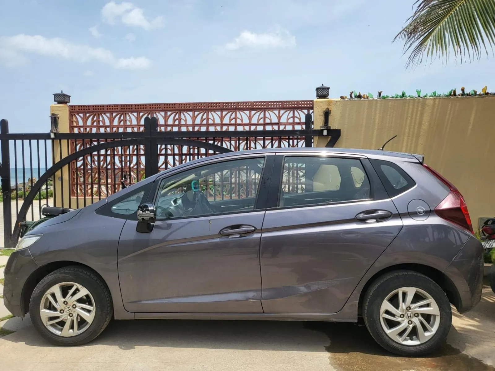 Diving in PALM PARADISE Beach Resort