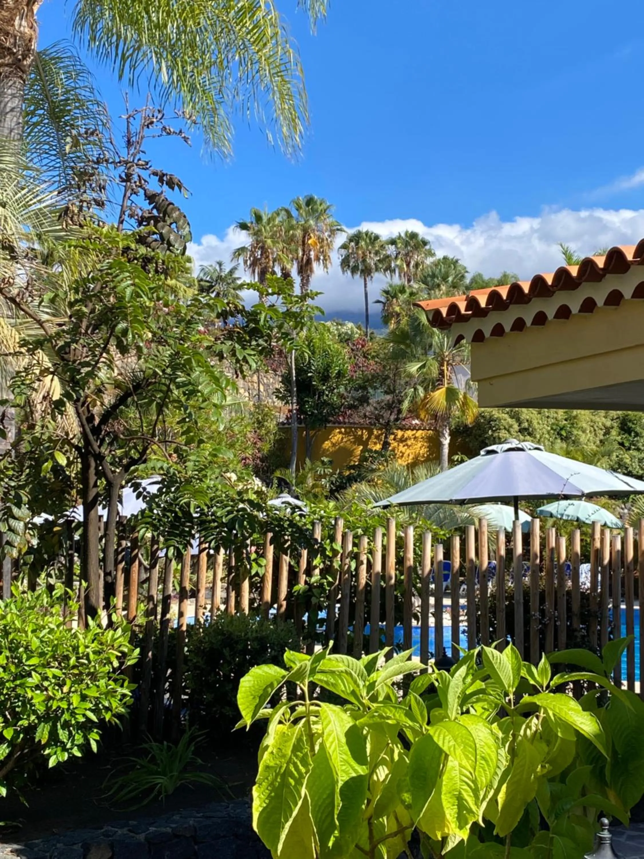 Garden in Apartamentos Tigaiga Suites