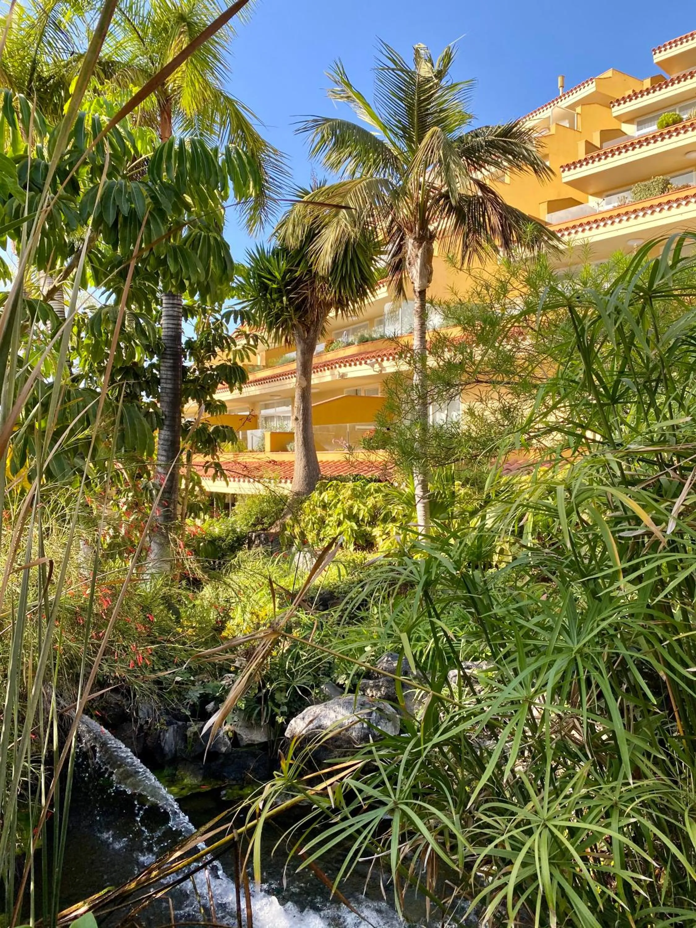 Garden in Apartamentos Tigaiga Suites