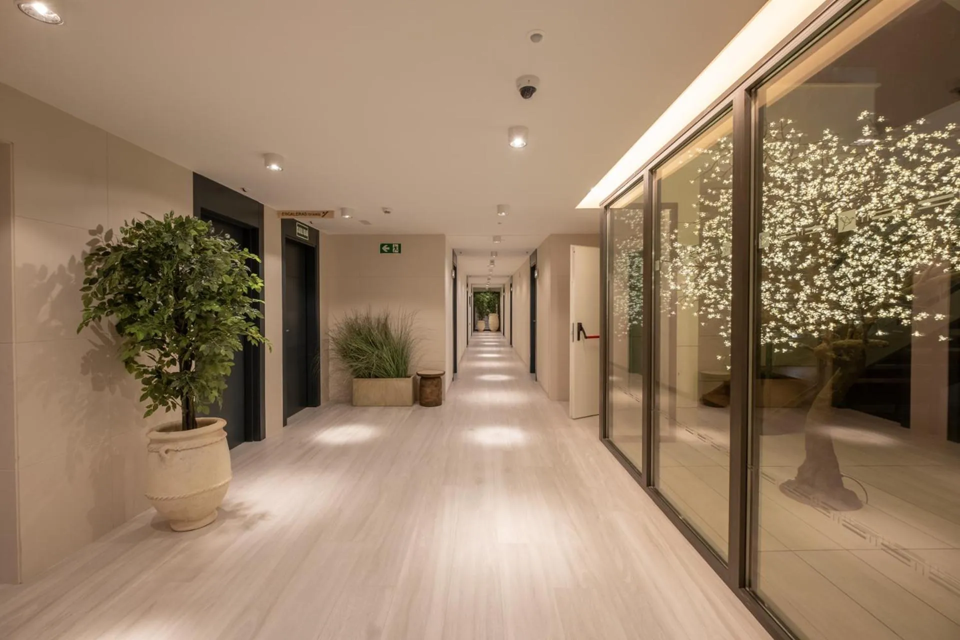 Area and facilities in Hotel Cetina Cabo de Palos Puerto