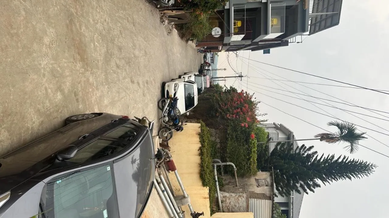 View (from property/room) in WINTEL WILD