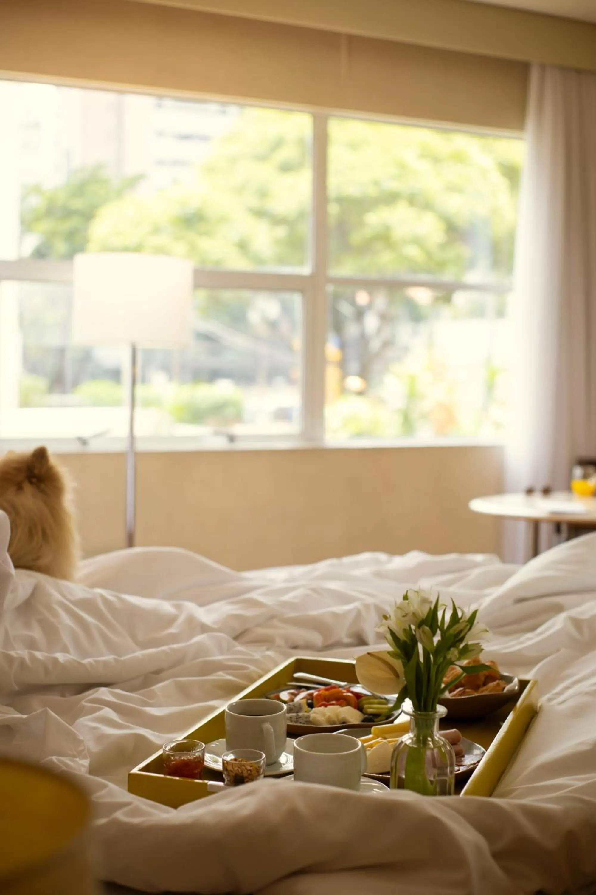 Breakfast, Bed in Mercure Sao Paulo Jardins