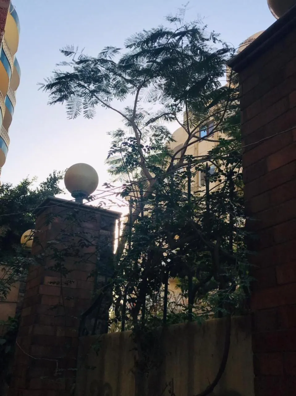 Garden view in Sami pyramids Inn