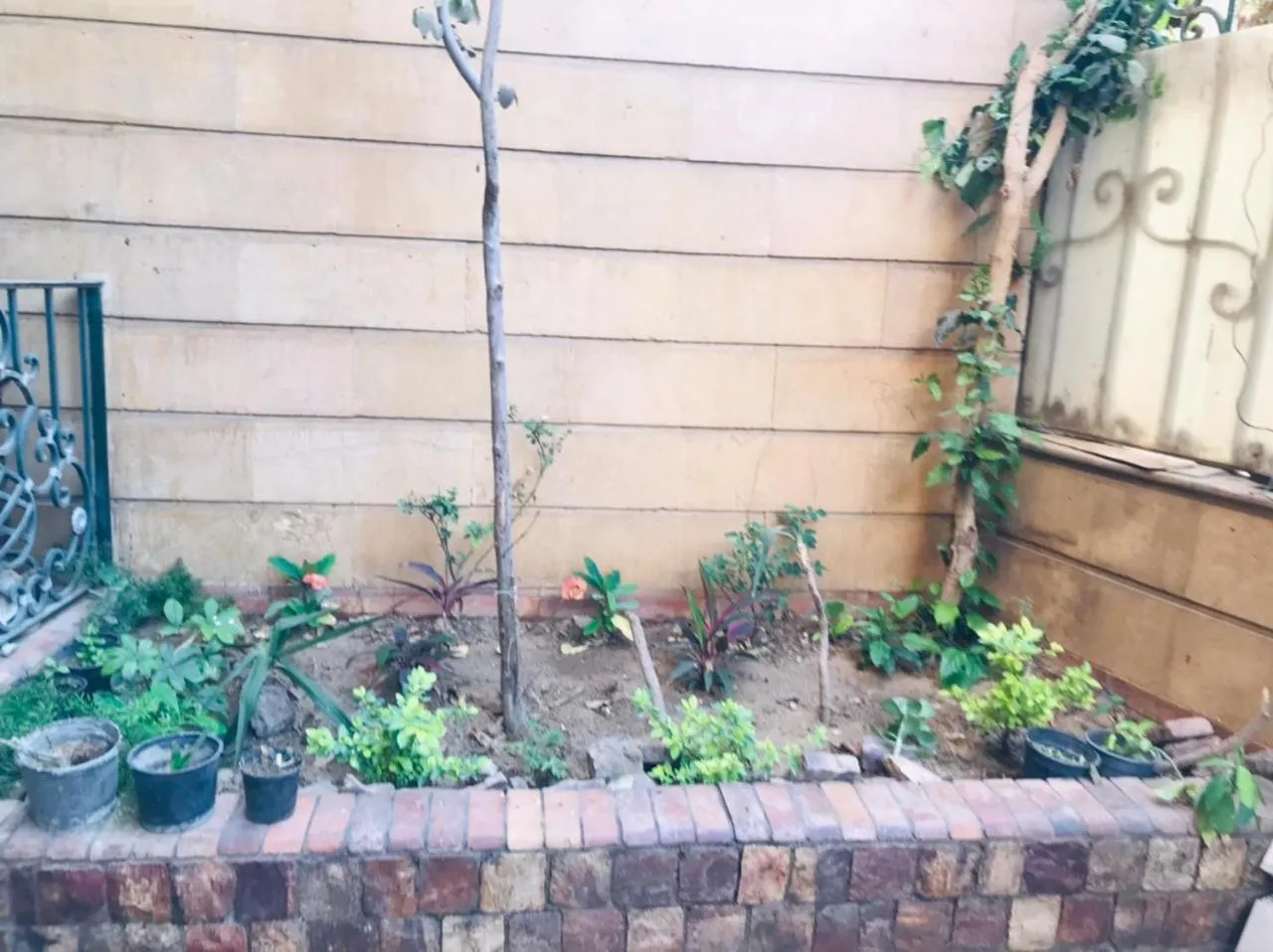 Garden view in Sami pyramids Inn