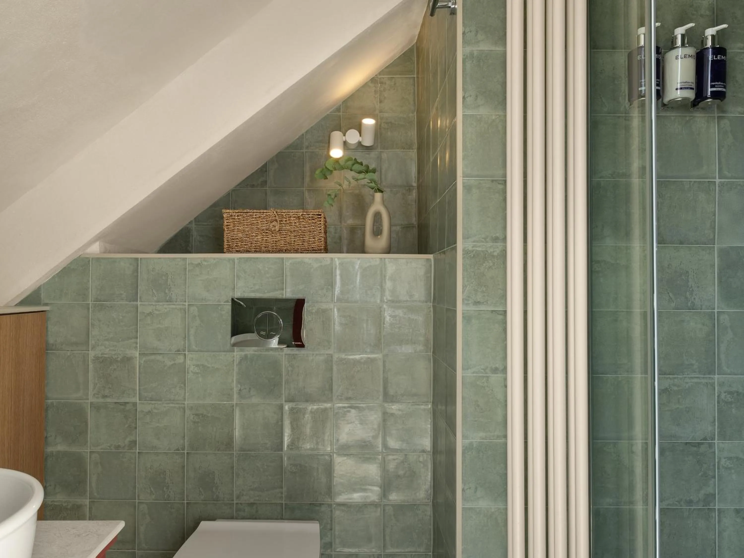 Shower in Apart-In Georgia