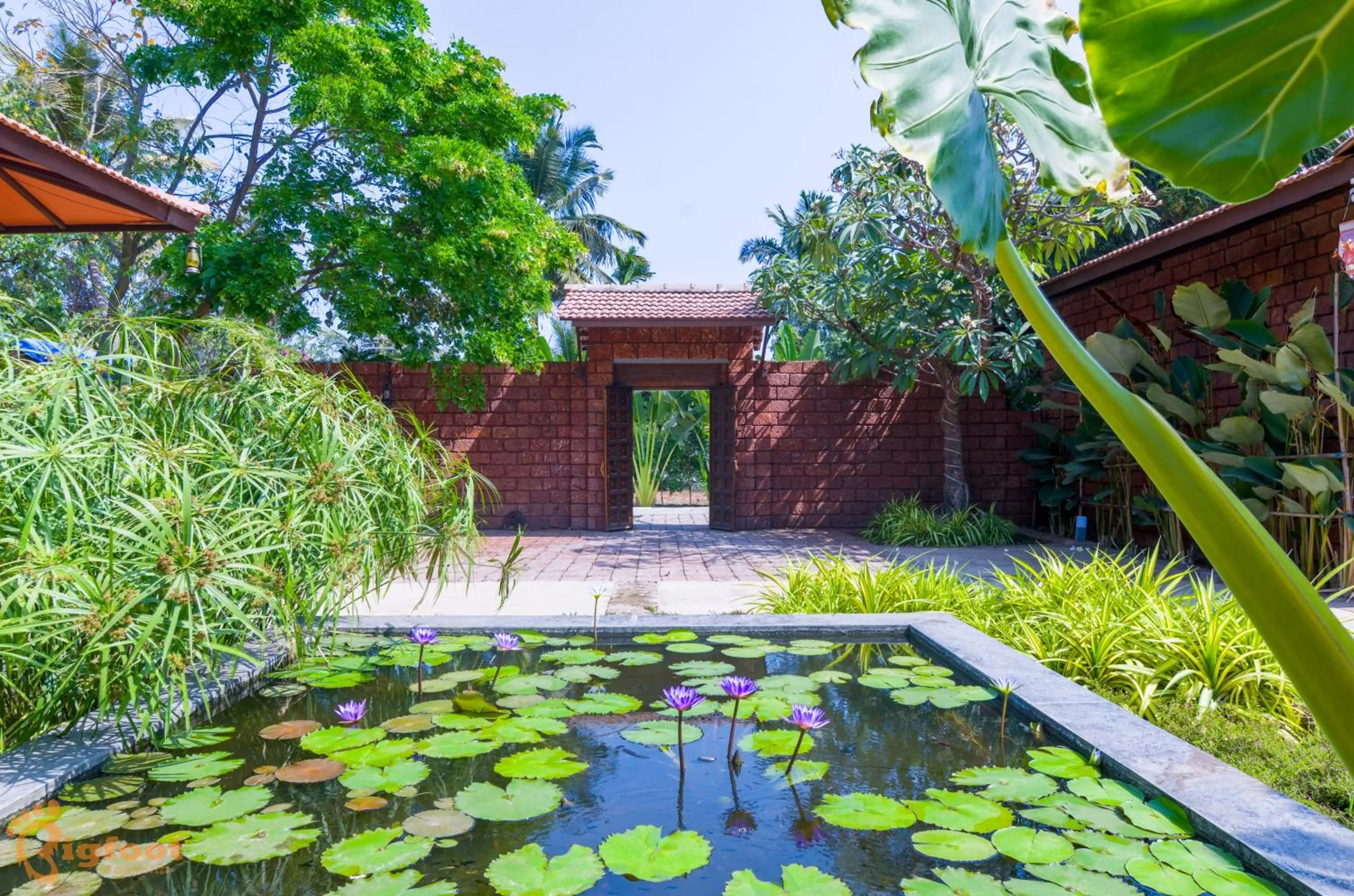 Spring in Jomo Resort