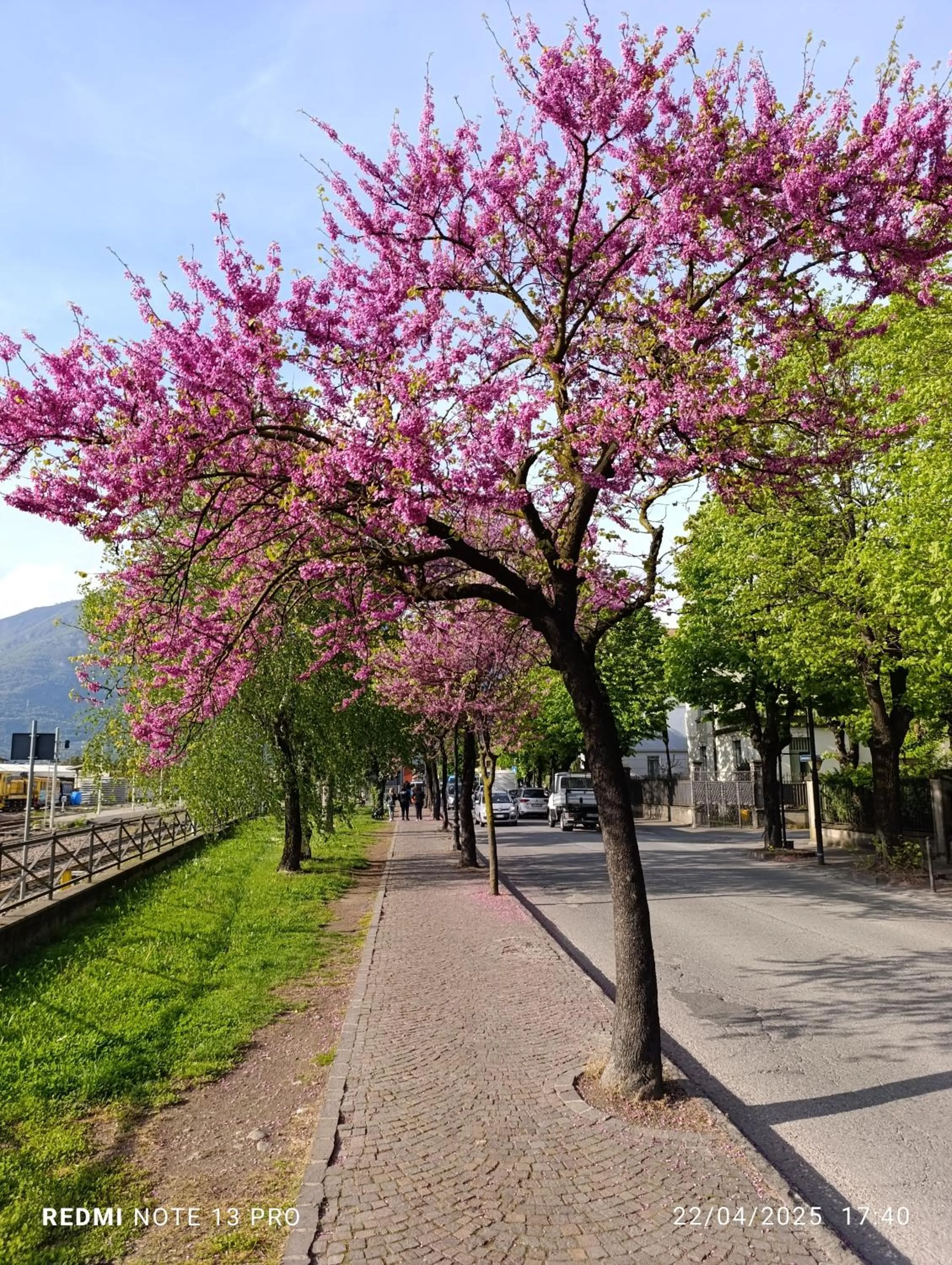 sleep well hotel total 2 stelle