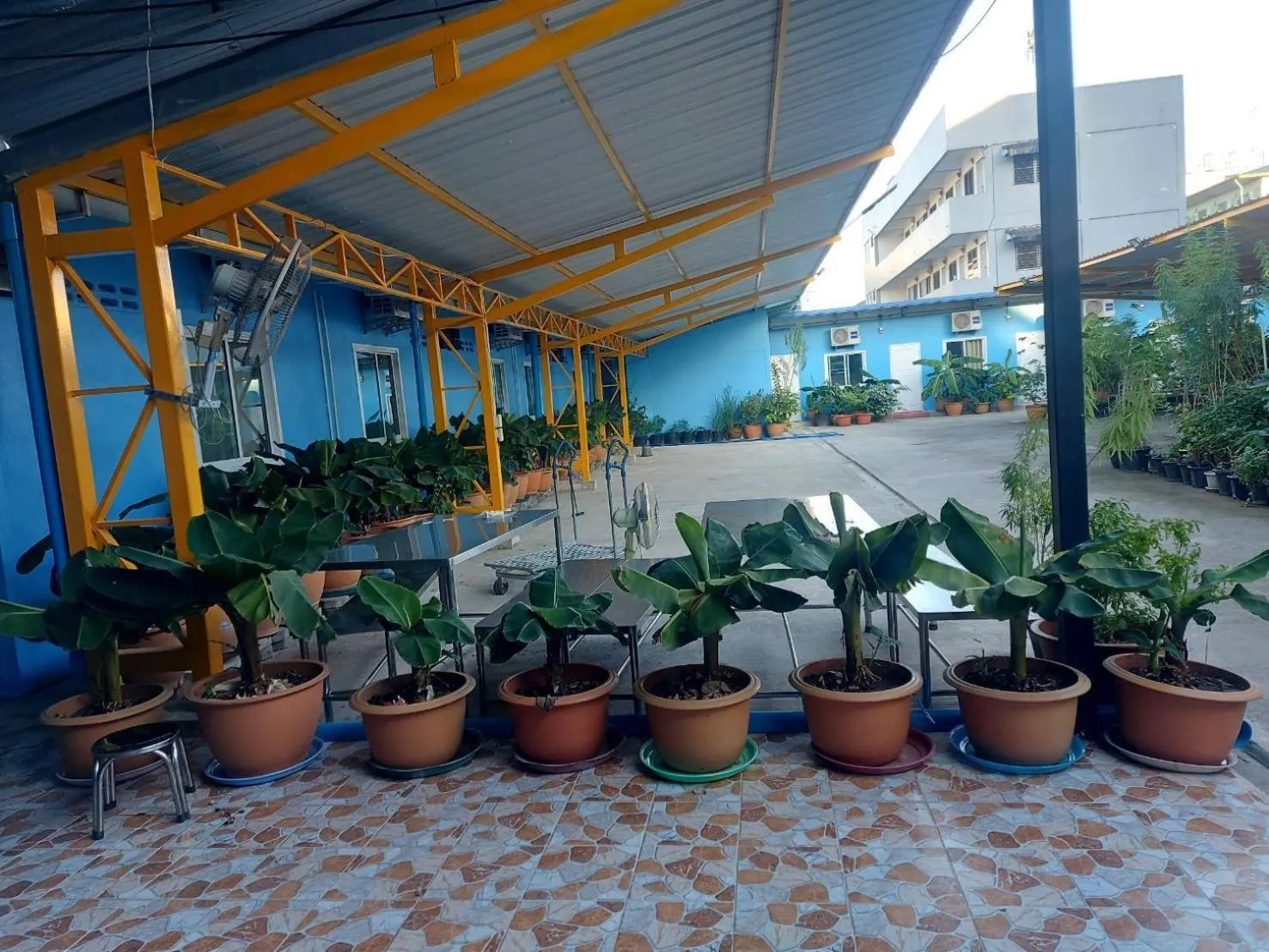 Property building in Nopphadon Hotel