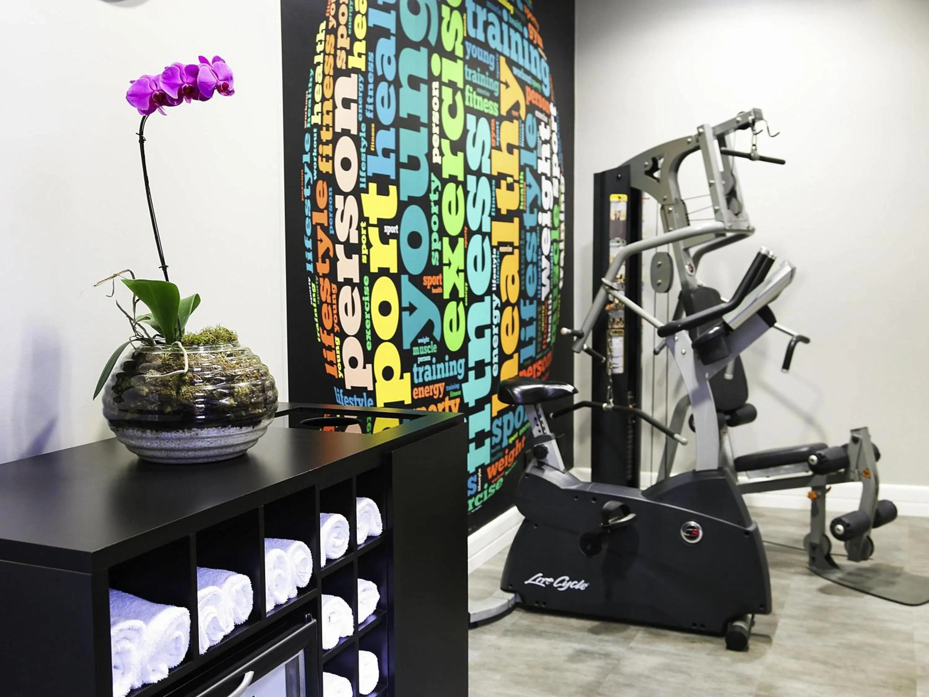 Fitness centre/facilities in Mercure Sao Paulo Paulista