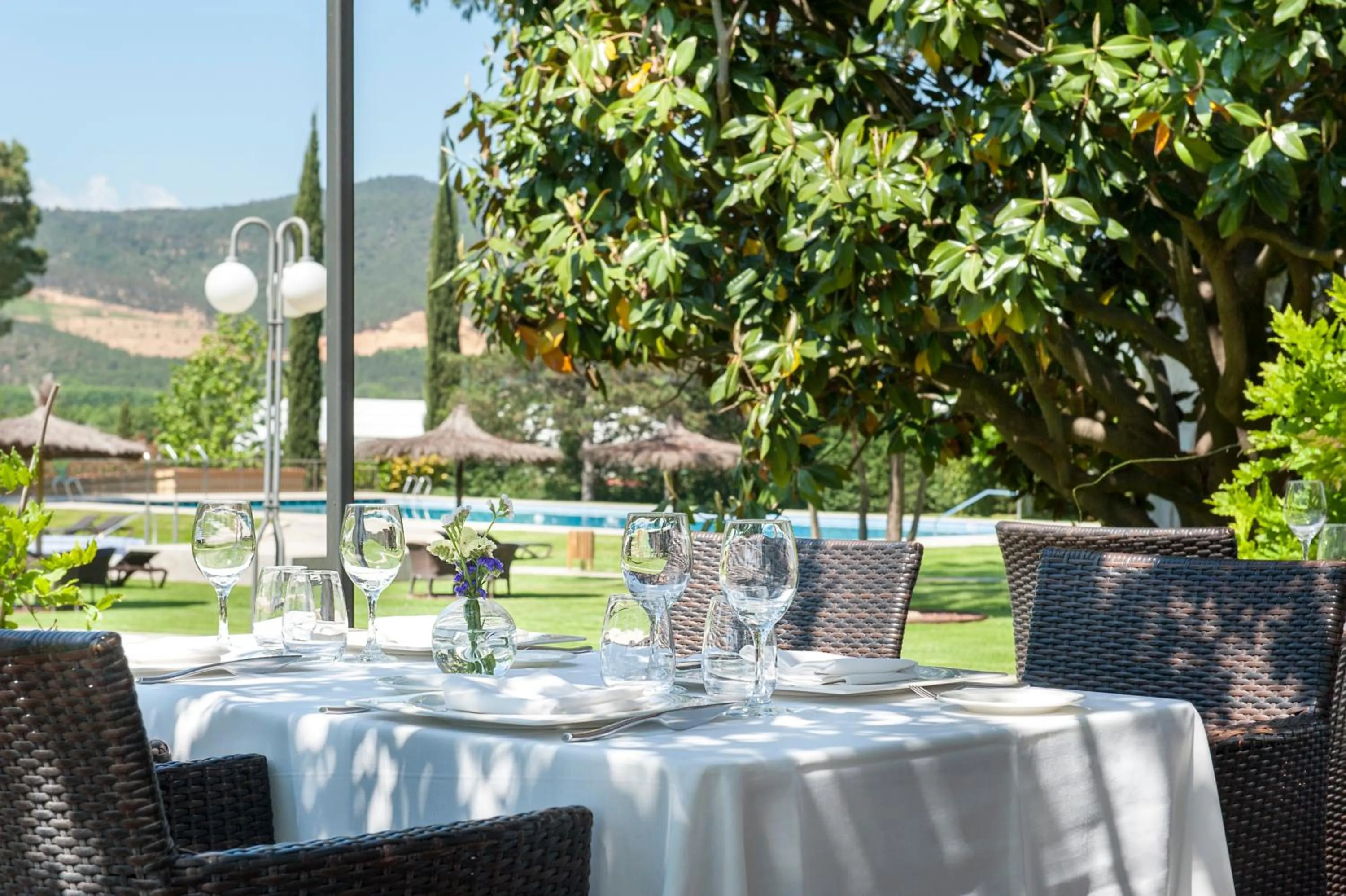 Balcony/Terrace in Hotel Mas Solà