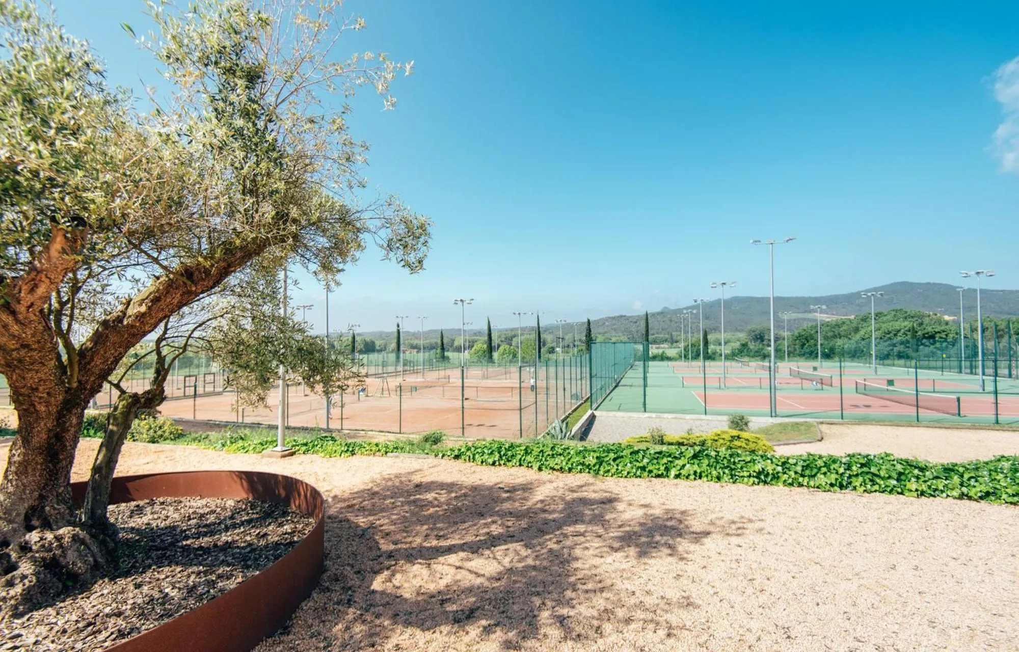 Activities in Hotel Mas Solà