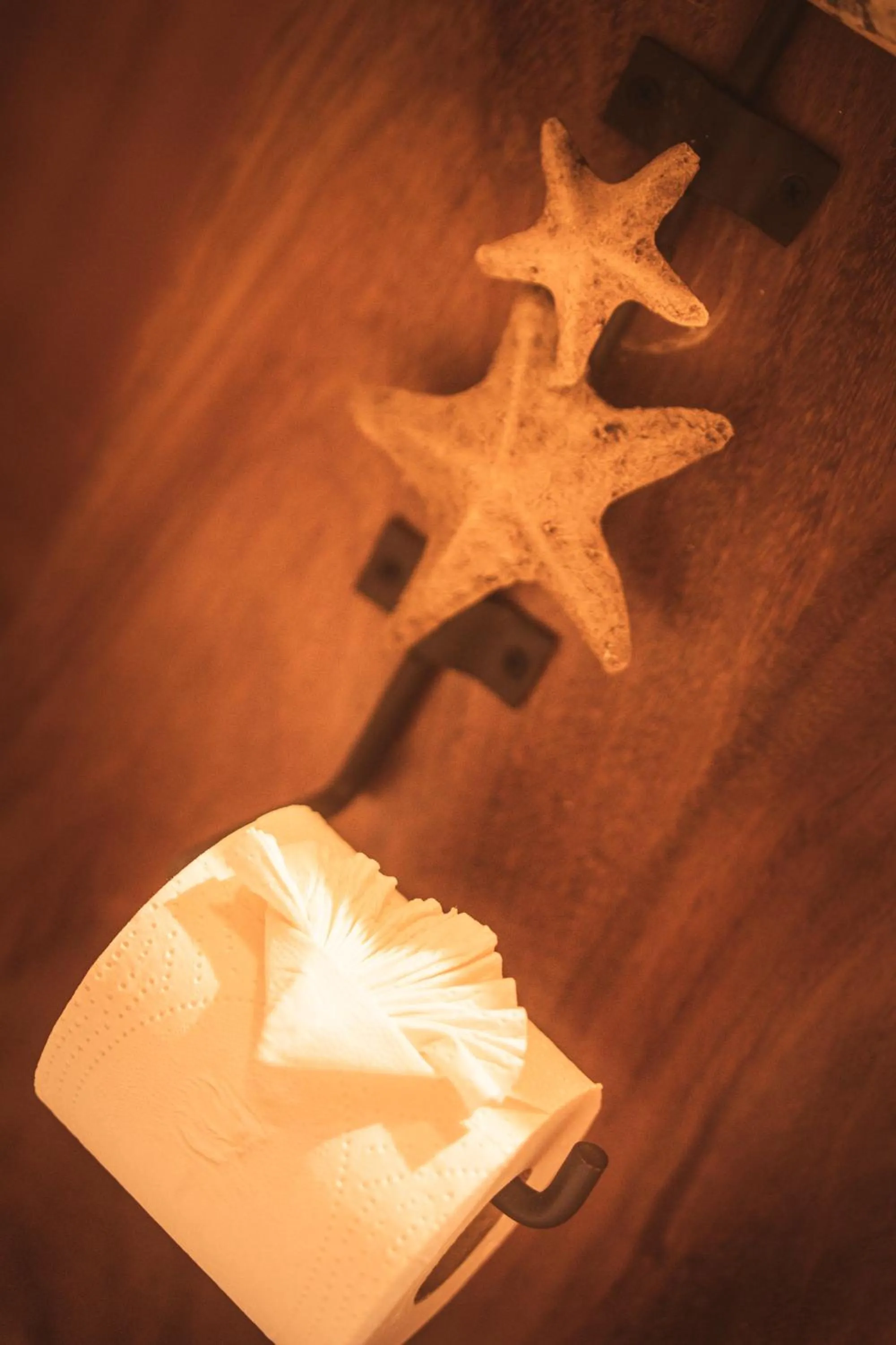 5 Frogs Hotel Bucerias